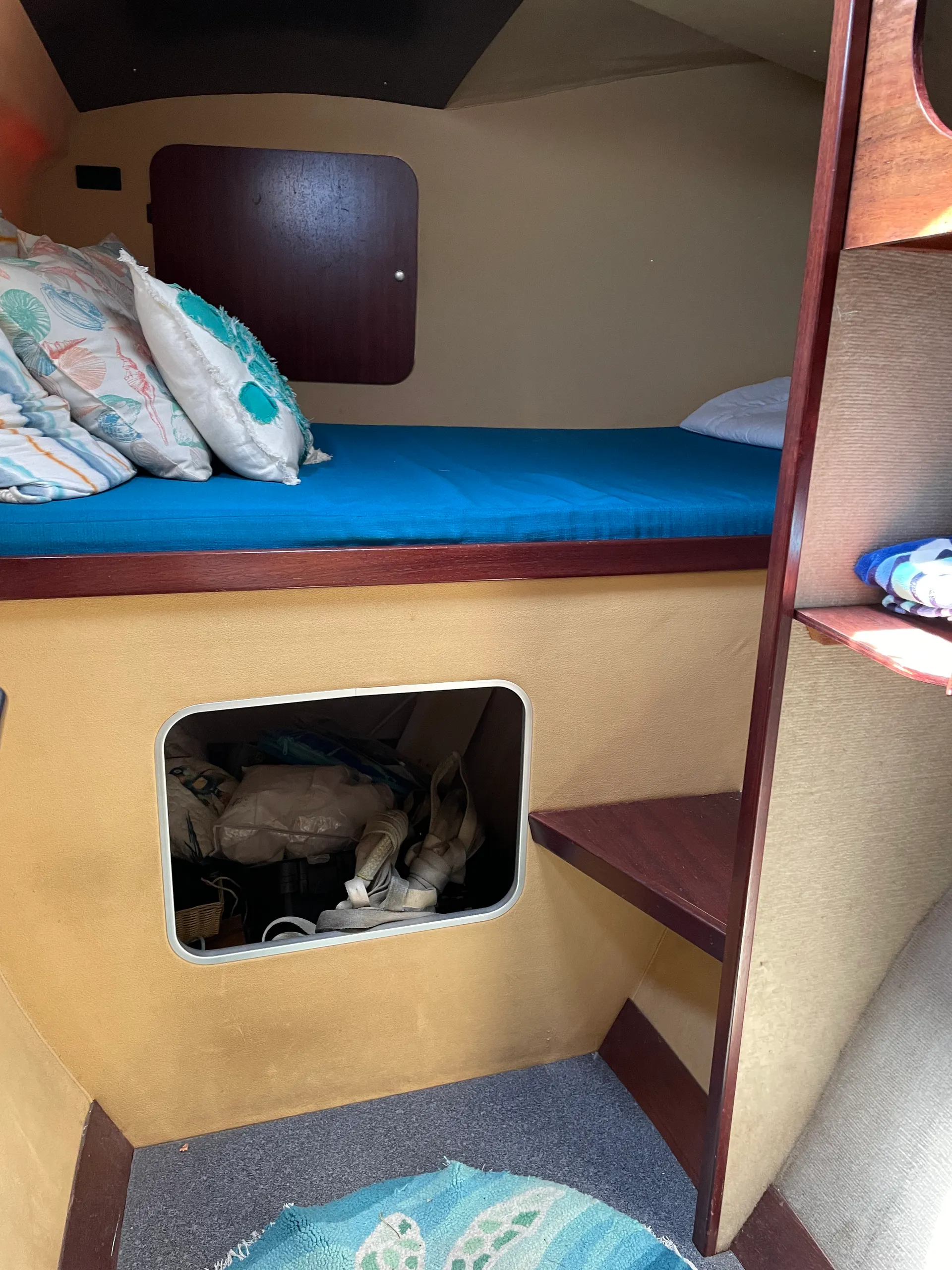 Ready to Cat around SF Bay?