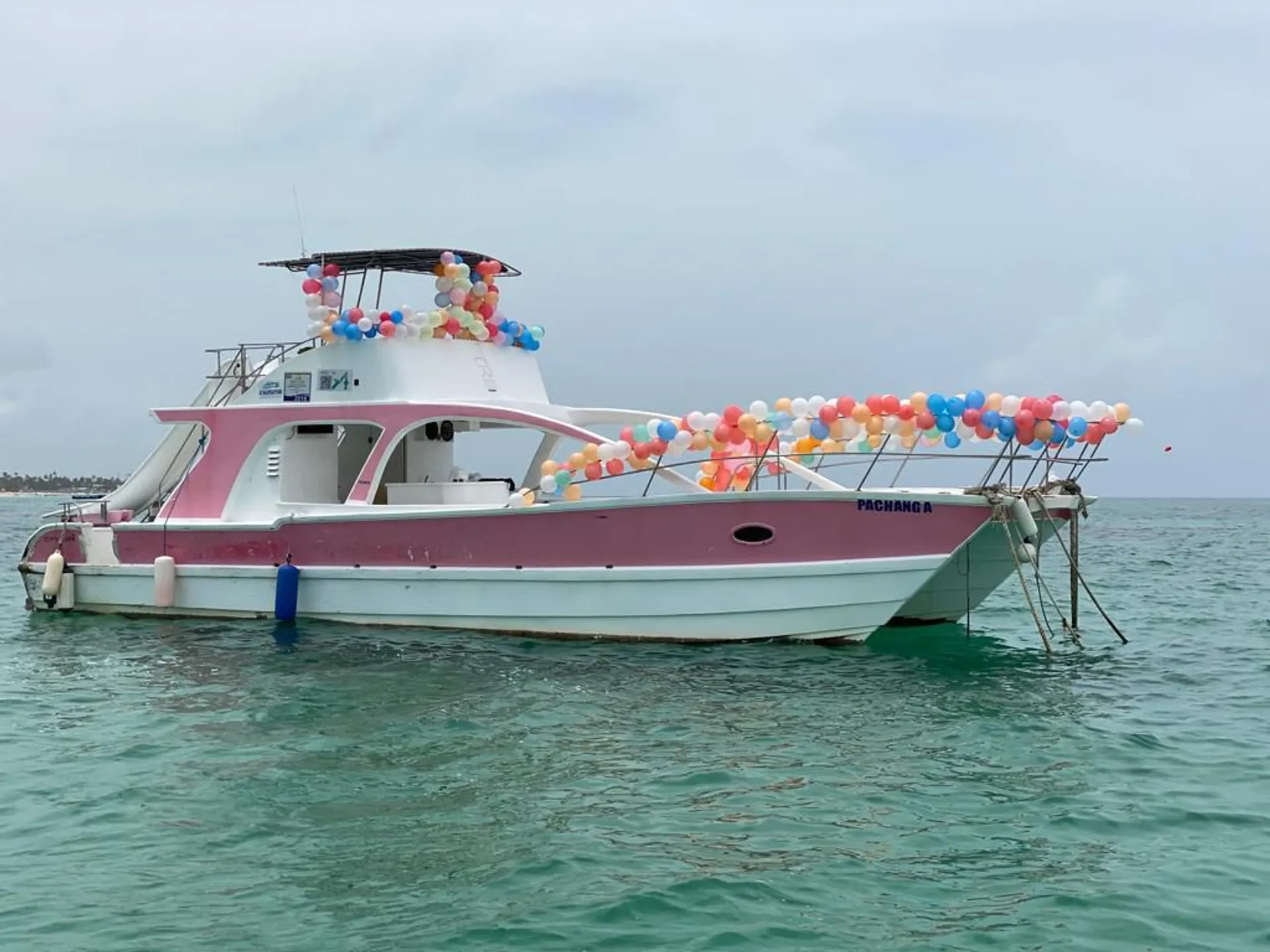 Catamaran Cruisers Aqua Cruiser in Punta Cana, La Altagracia Province — photo 6