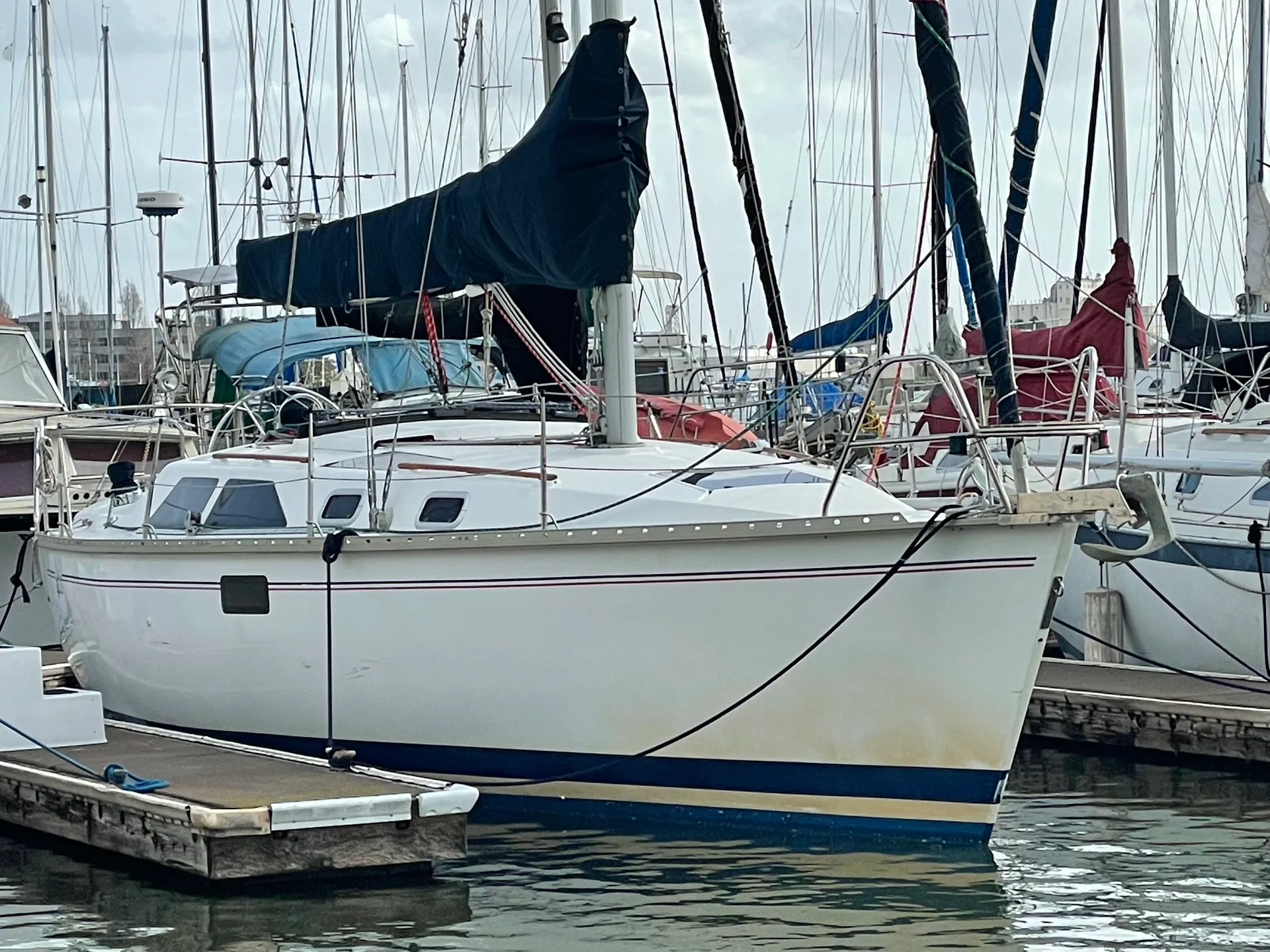 Hunter Legend 35.5 in Oakland, CA — photo 3