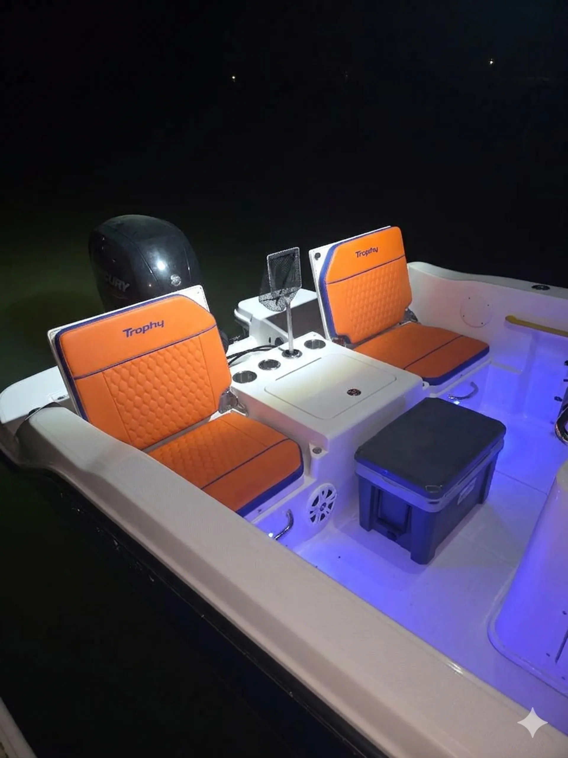 BAYLINER T20CC in Palmetto, FL — photo 4