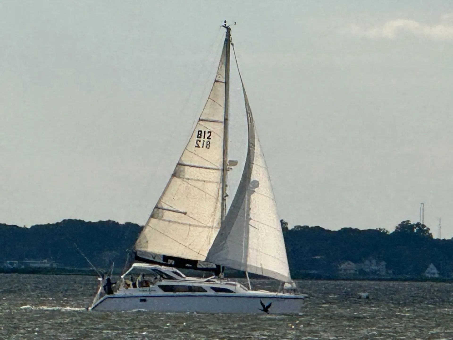 PERFORMANCE GEMINI 105MC in Seaside Park, NJ — photo 8