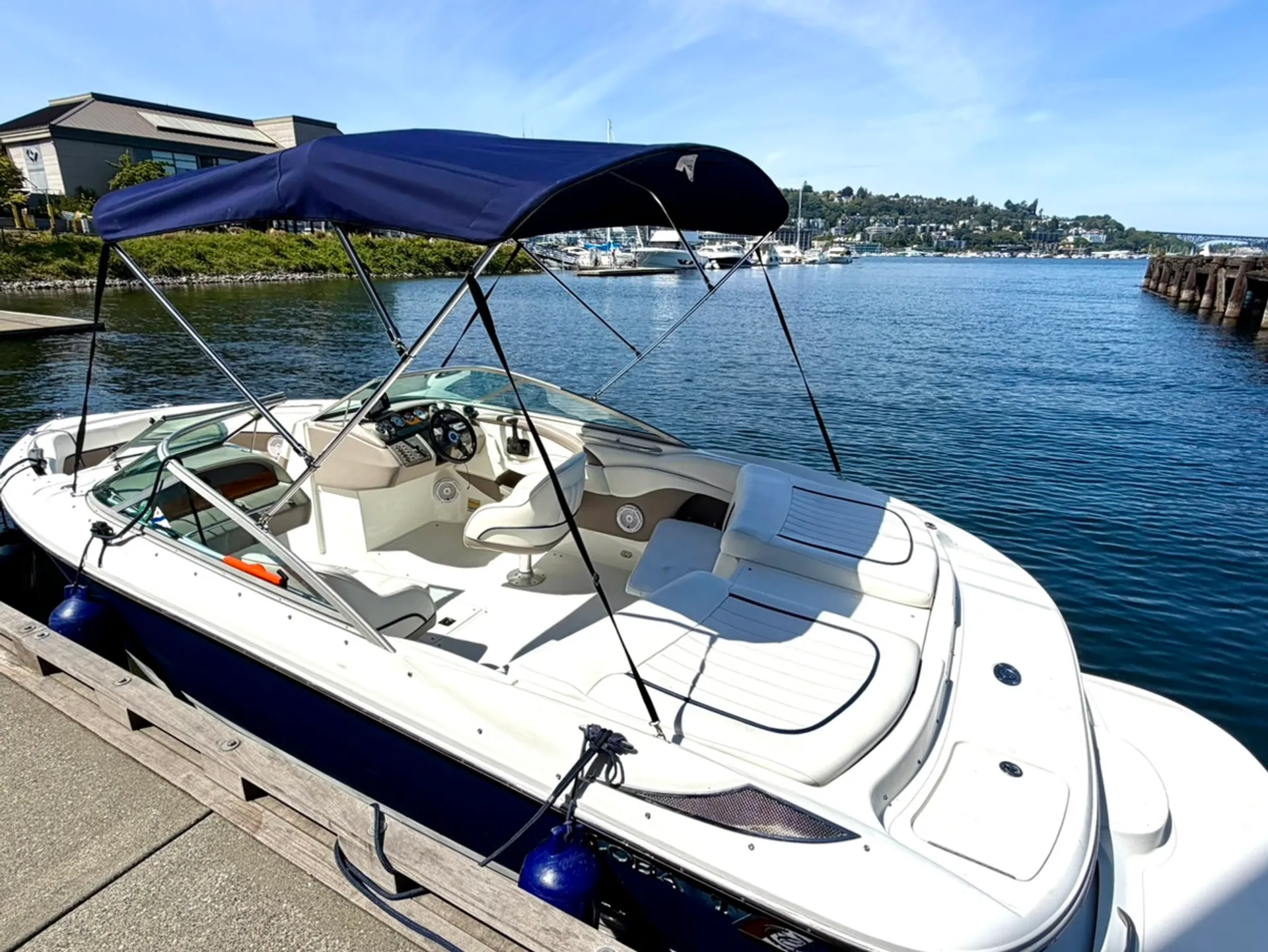 COBALT 220 in Seattle, WA — photo 2