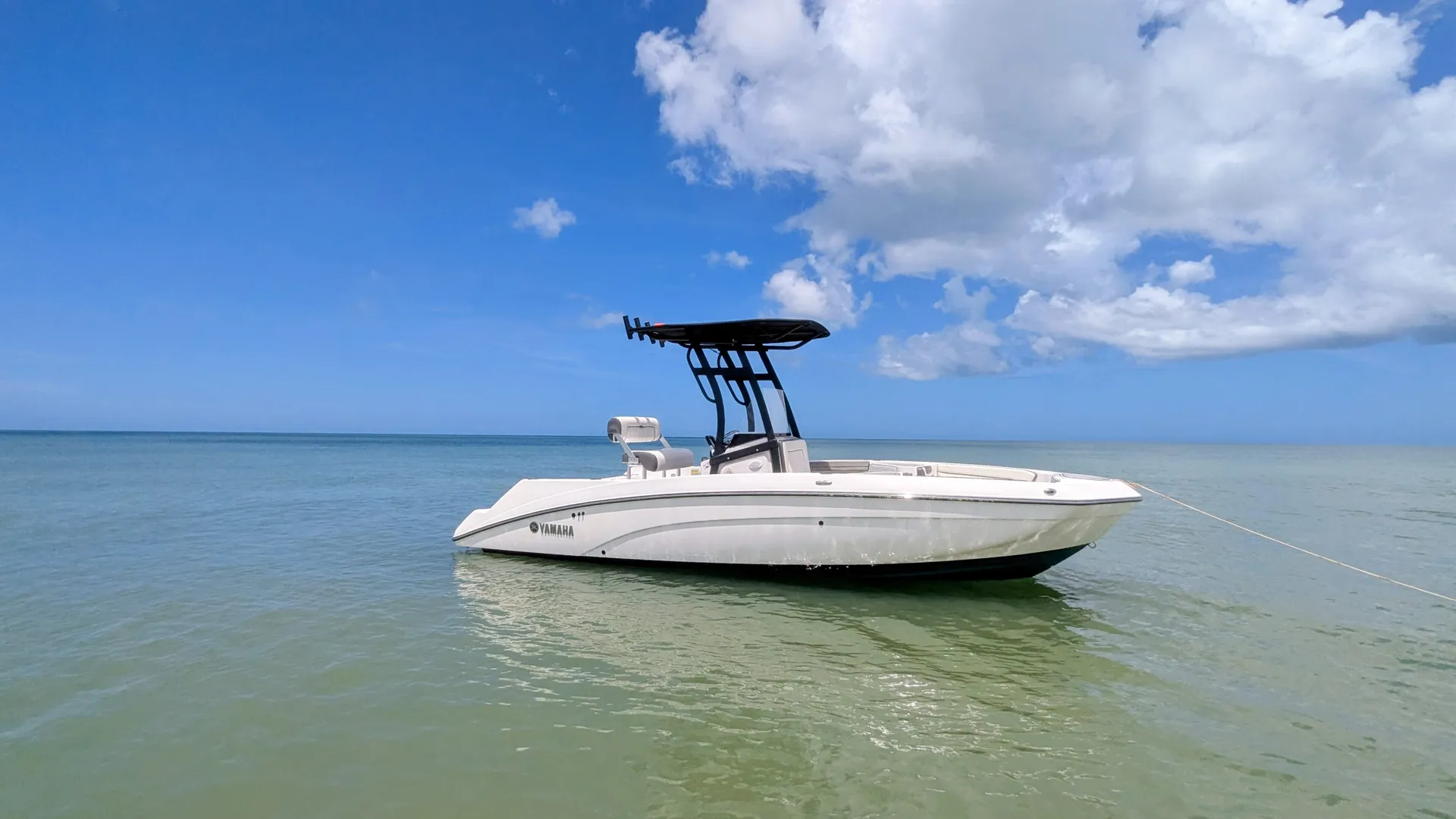 YAMAHA 210 FISH SPORT in Palm Harbor, FL