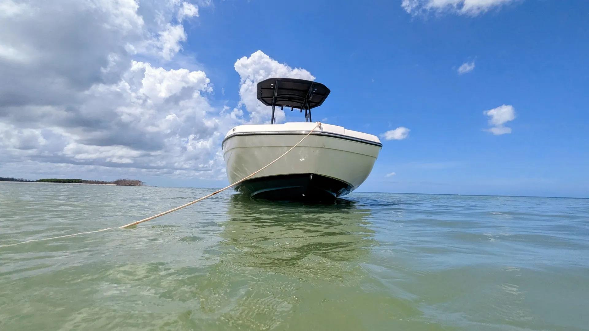 YAMAHA 210 FISH SPORT in Palm Harbor, FL — photo 8