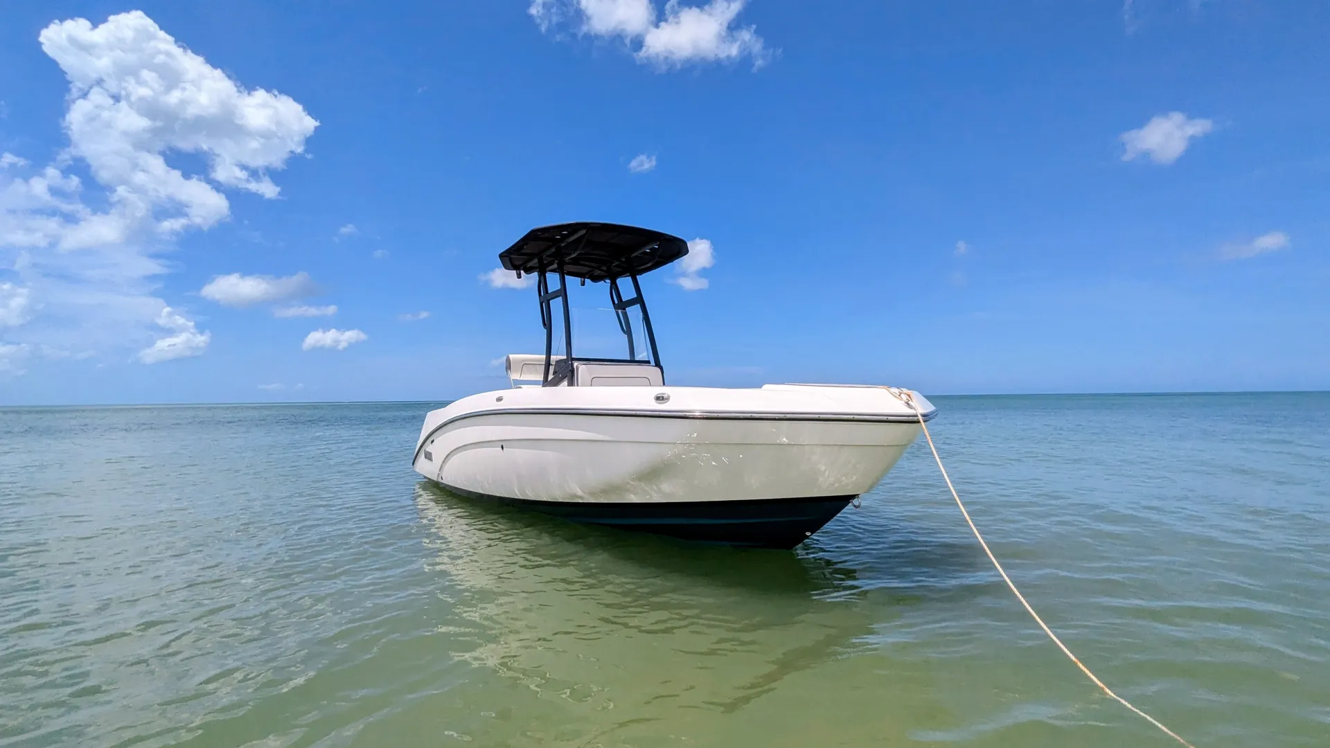 YAMAHA 210 FISH SPORT in Palm Harbor, FL — photo 7