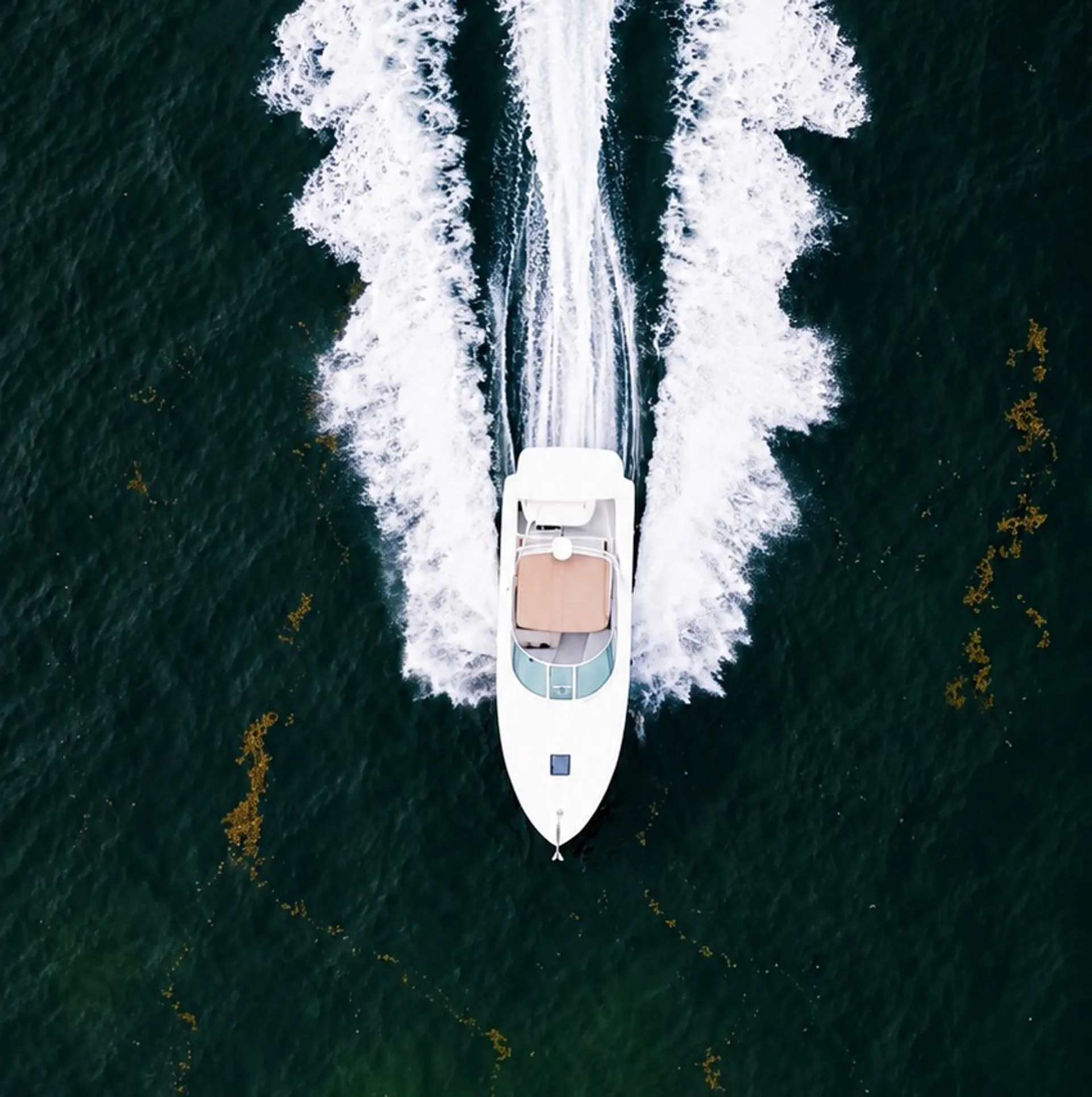 Sea Ray Boats Amberjack 290 in Miami, FL — photo 9