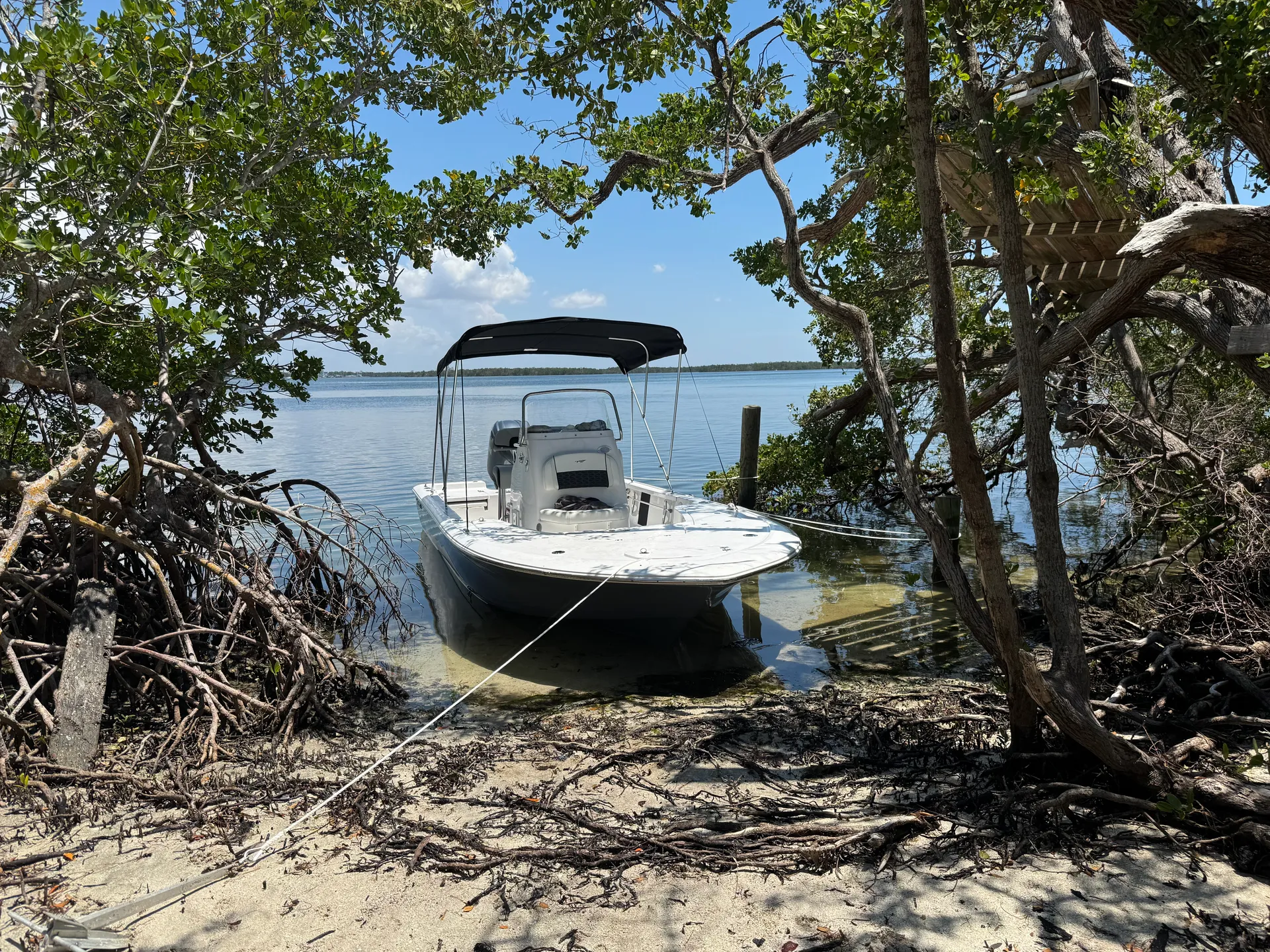 TIDEWATER BOATS 2110 BAY MAX in Bradenton, FL