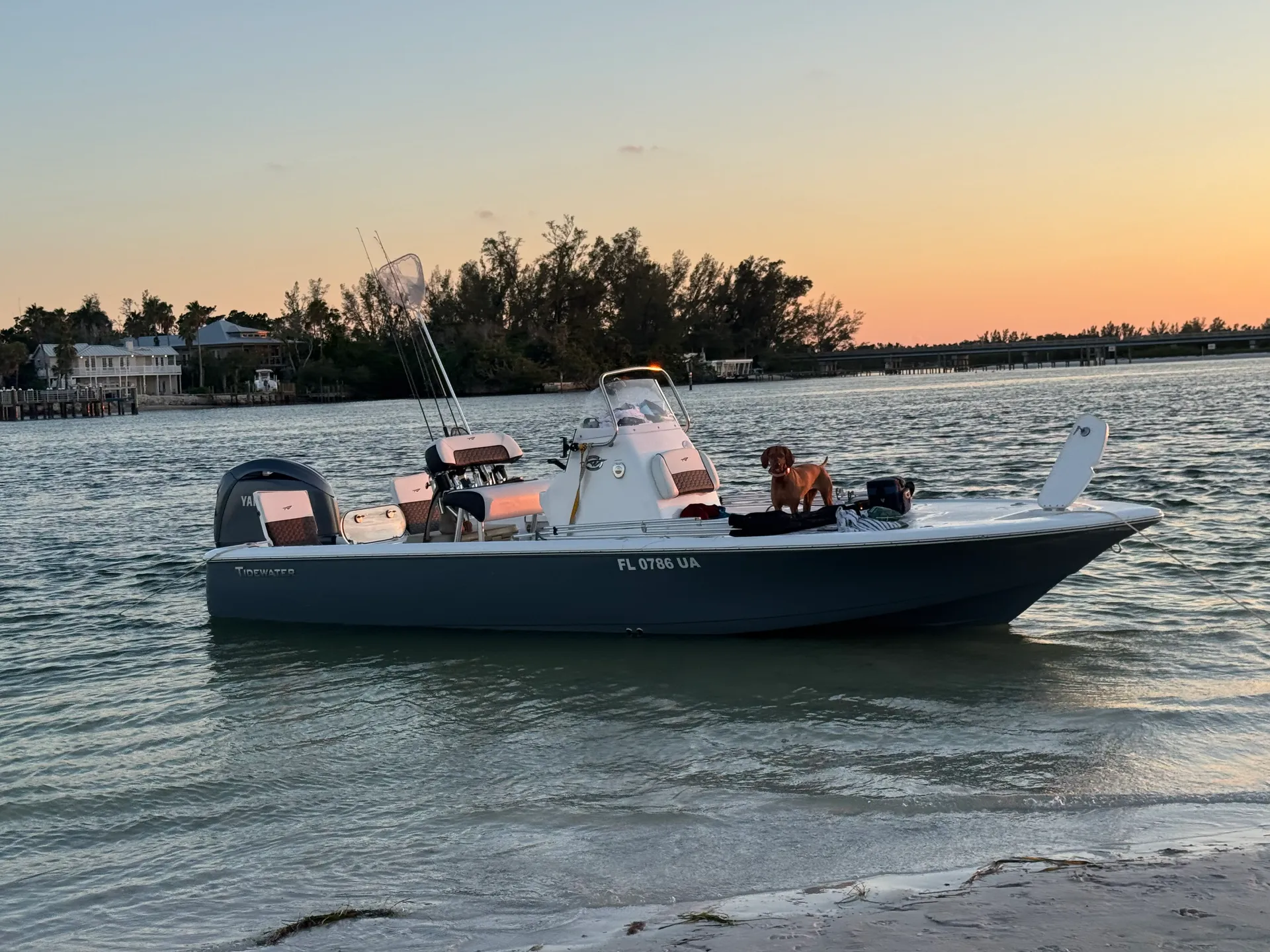 TIDEWATER BOATS 2110 BAY MAX in Bradenton, FL — photo 2