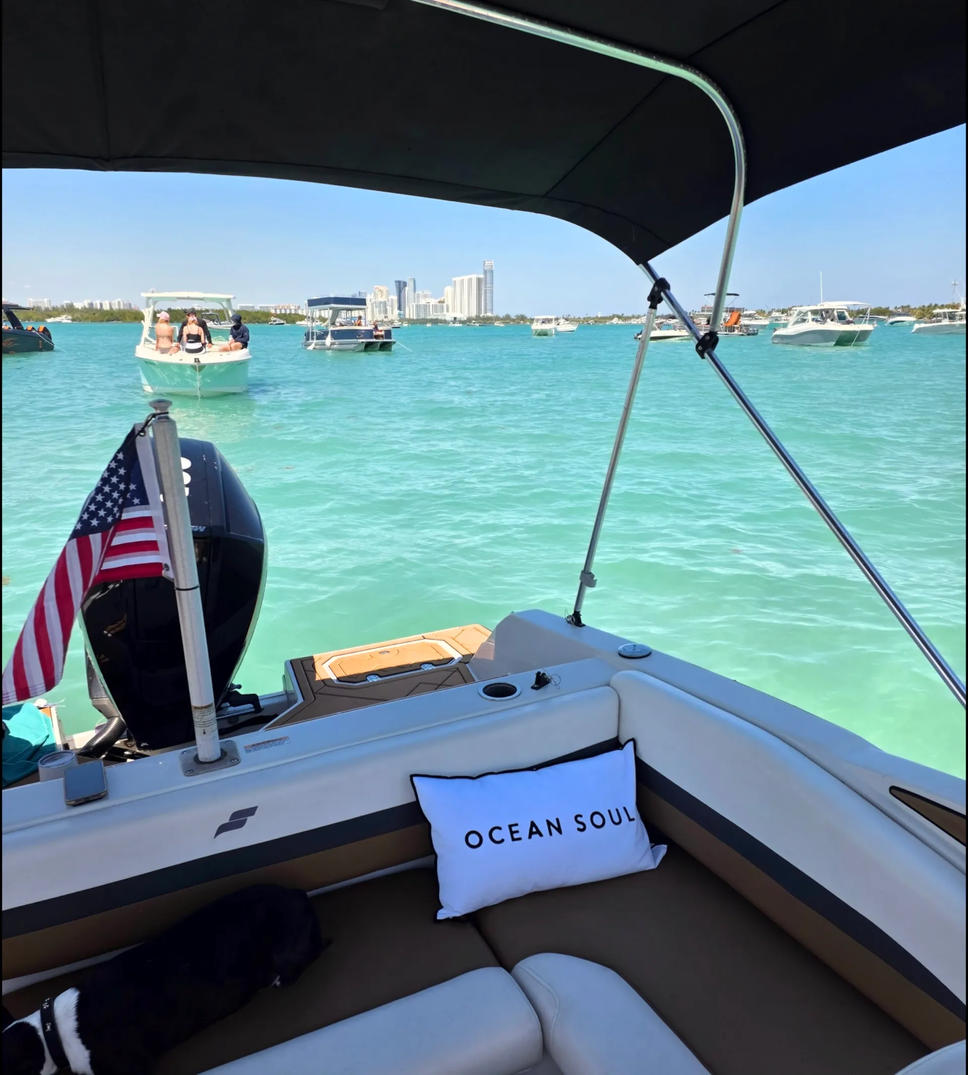 STARCRAFT MARINE SVX 210 OB DC in Miami Beach, FL — photo 4