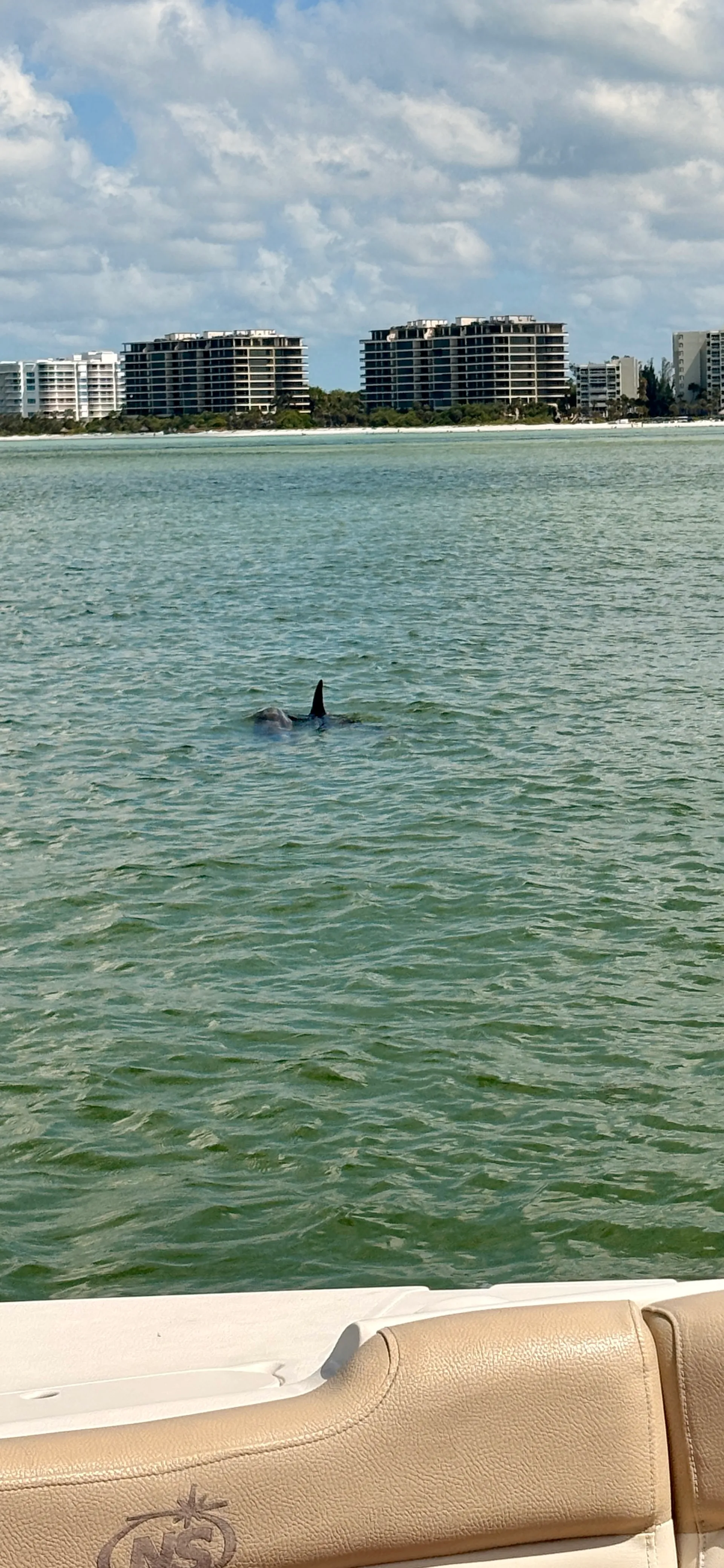 Tortuga Boat Adventures