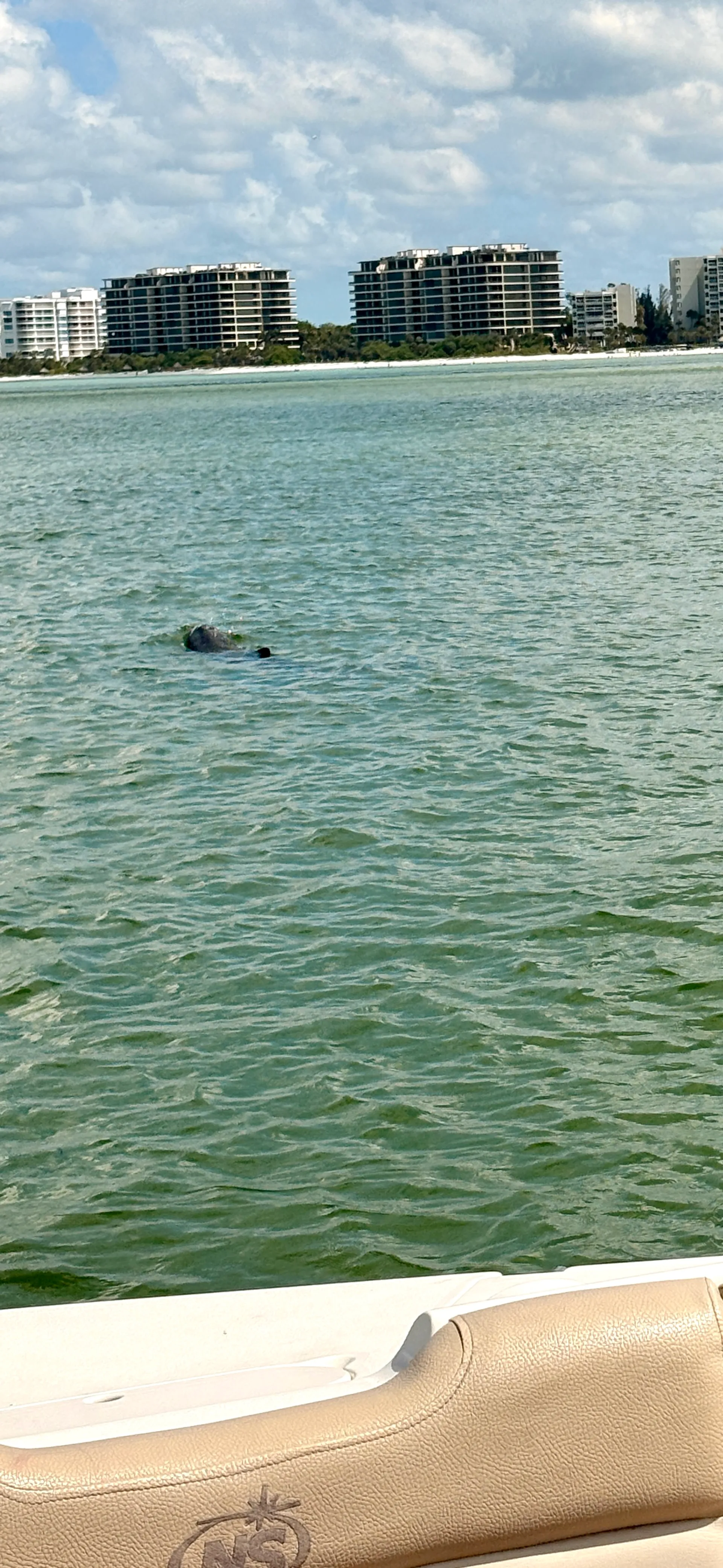 Tortuga Boat Adventures