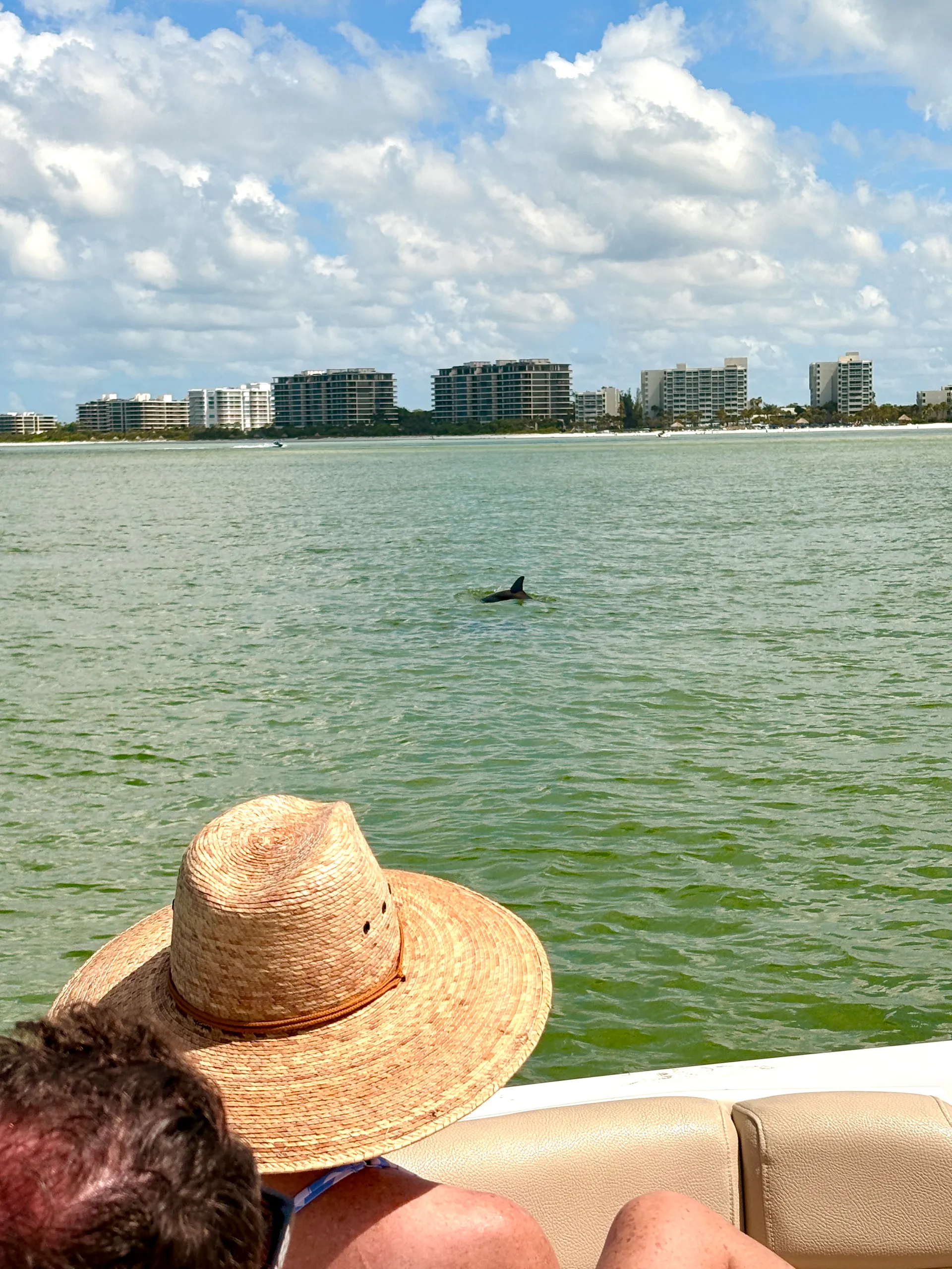 Tortuga Boat Adventures
