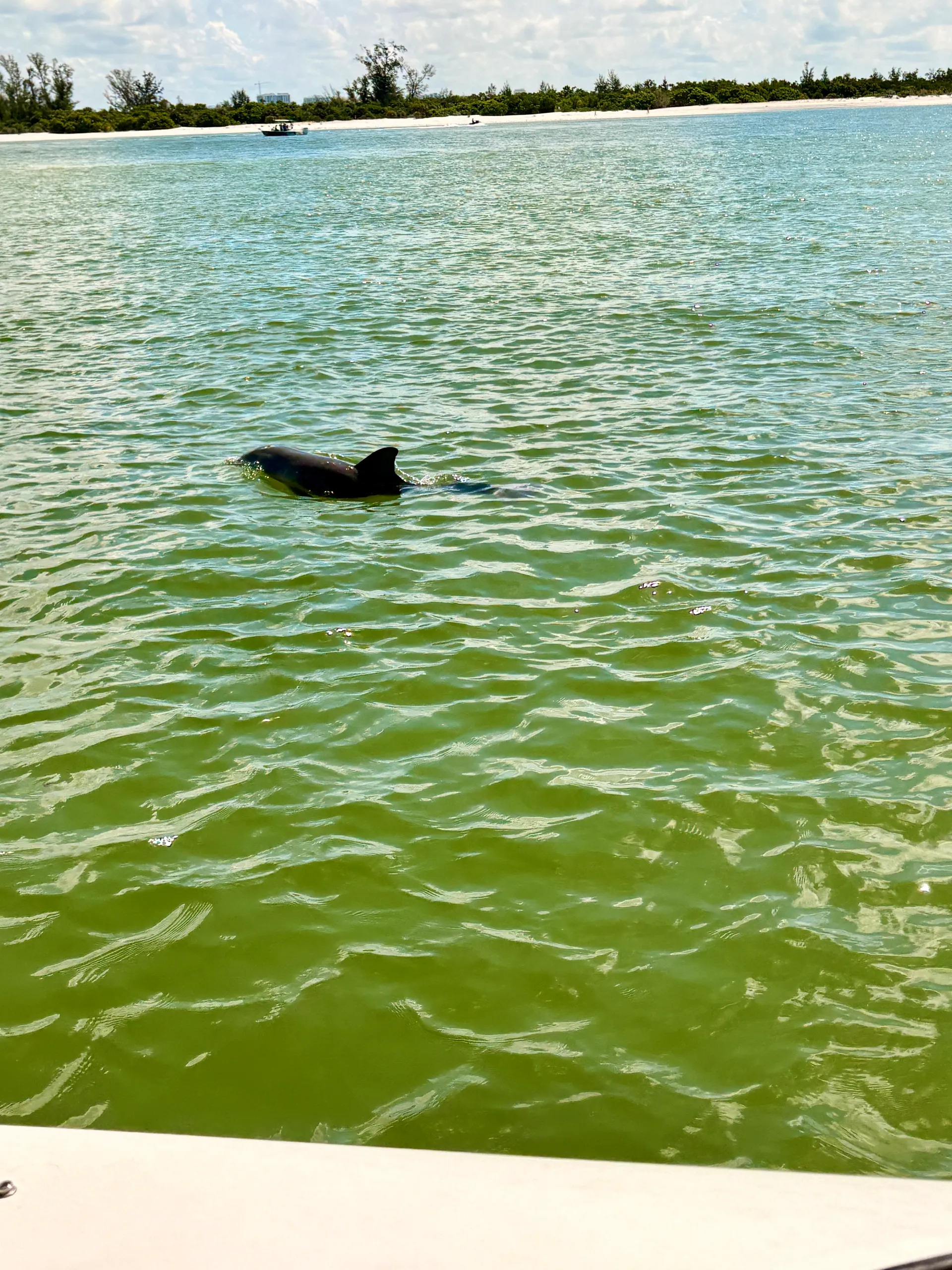 Tortuga Boat Adventures