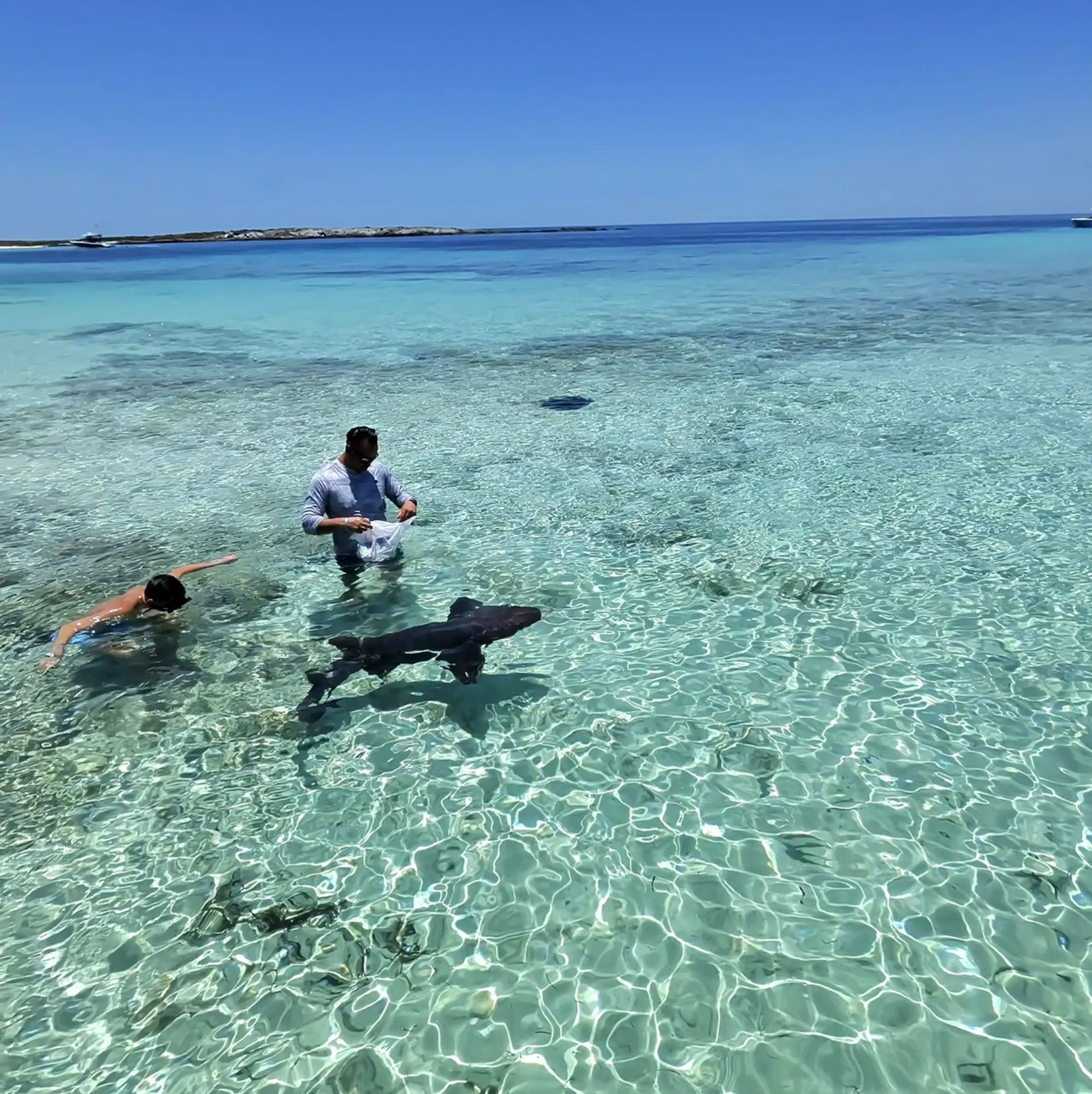 Miamis best V.I.P experience-adventures!
