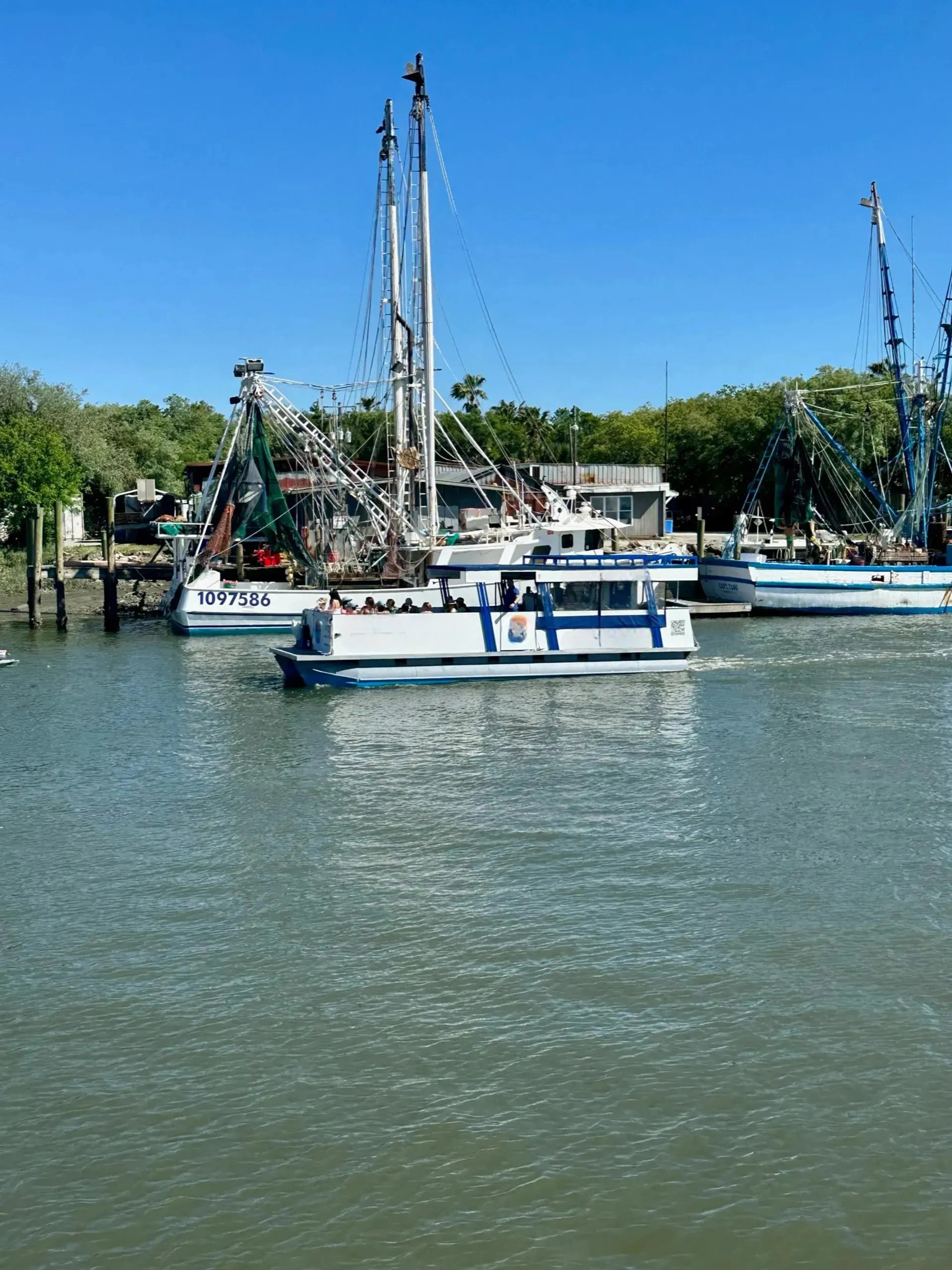 Trident  Pontoon in Mount Pleasant, SC — photo 8