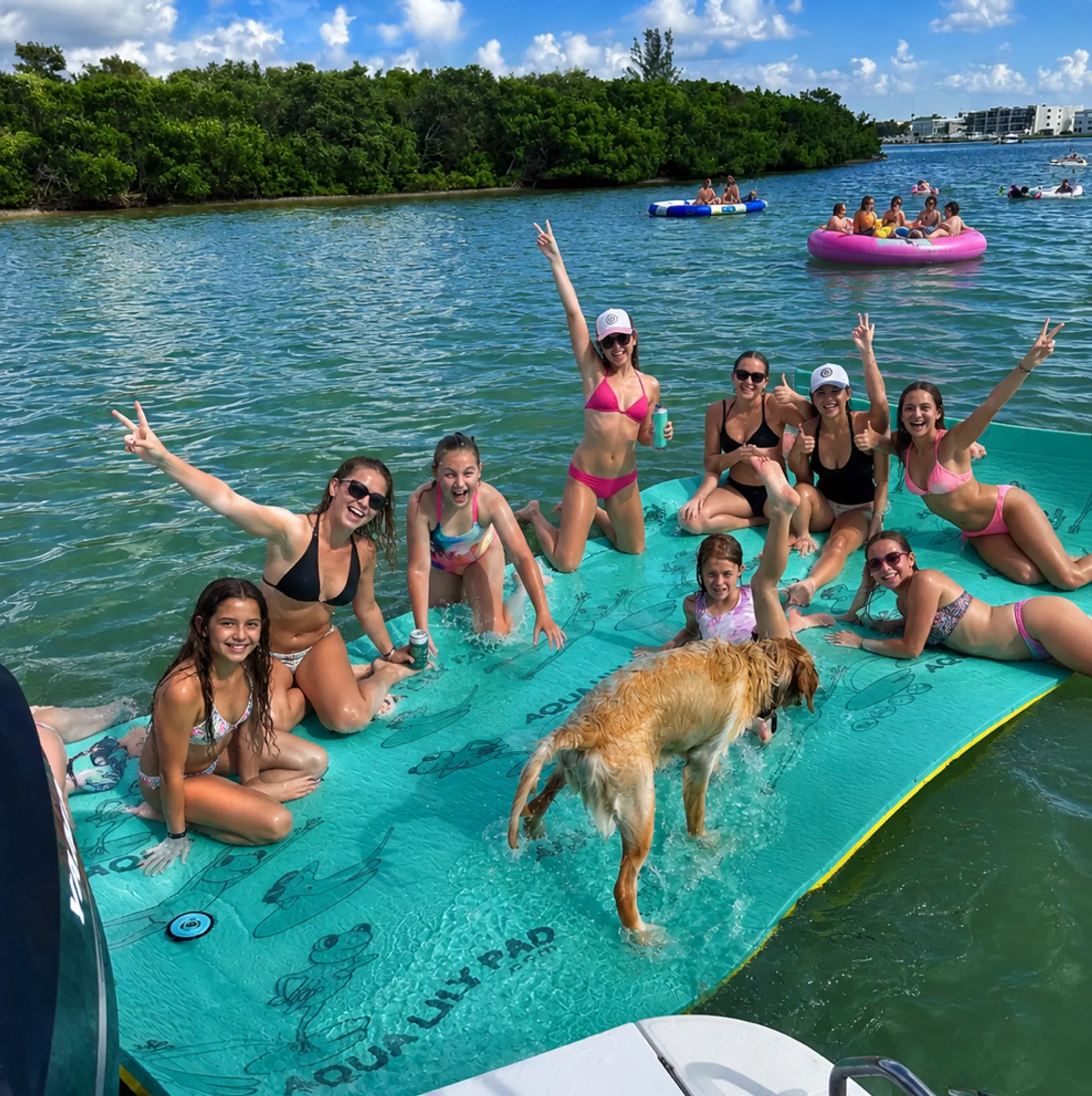 Trident 30' Pontoon in Indian Shores, FL — photo 5