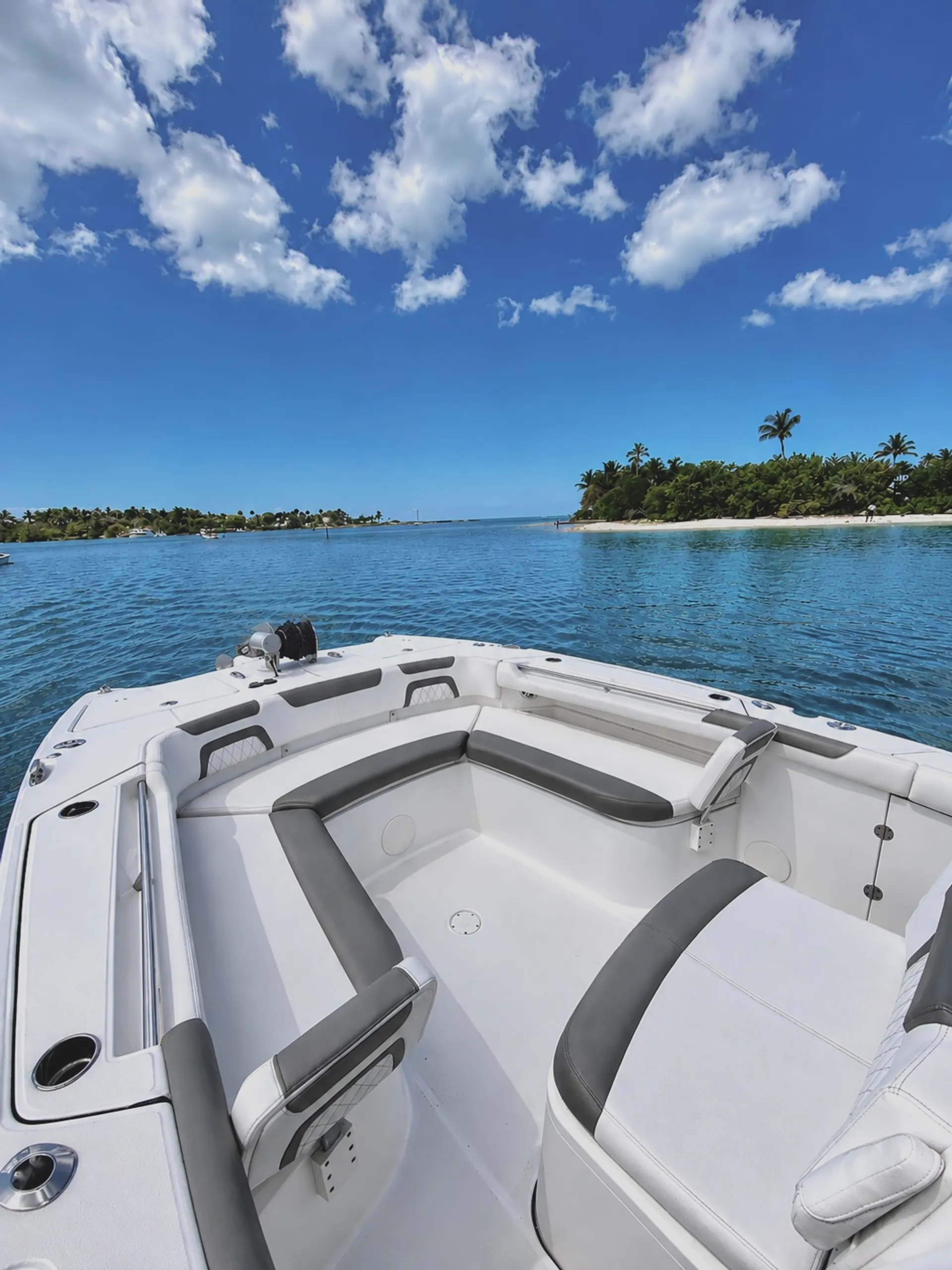 WORLD CAT BOATS 325CC in Naples, FL — photo 4
