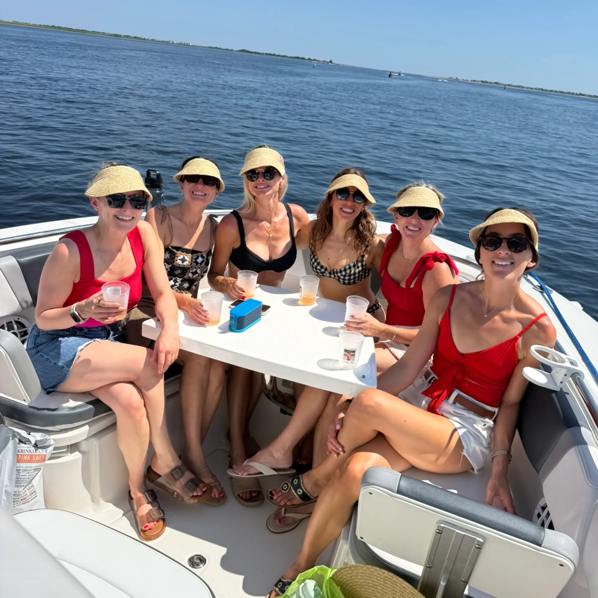 Sandbar hopping around Anna Maria Island! With Coastal Pursuit!