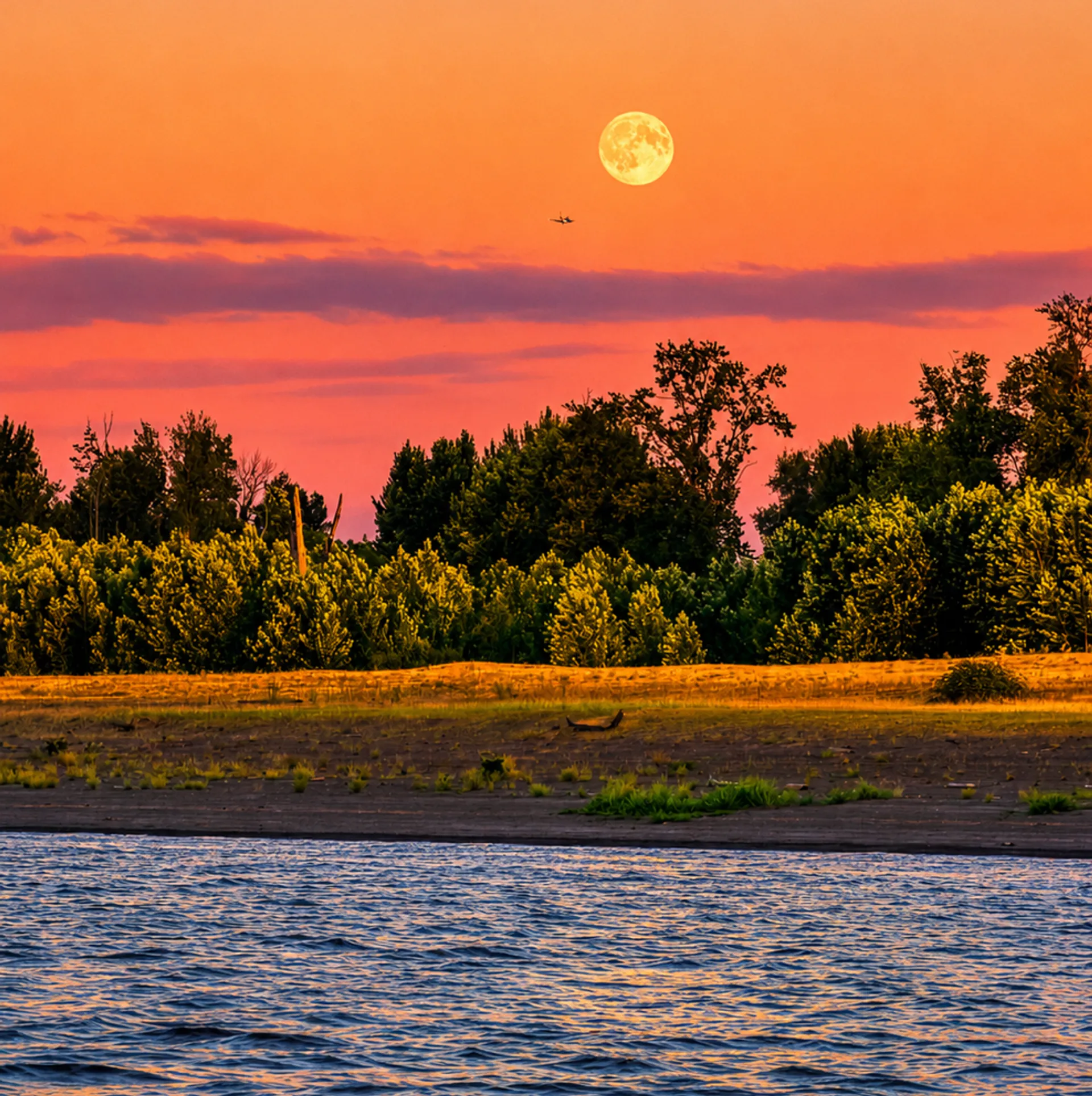 “Explore Portland &amp; the Columbia Gorge by Private Yacht” 