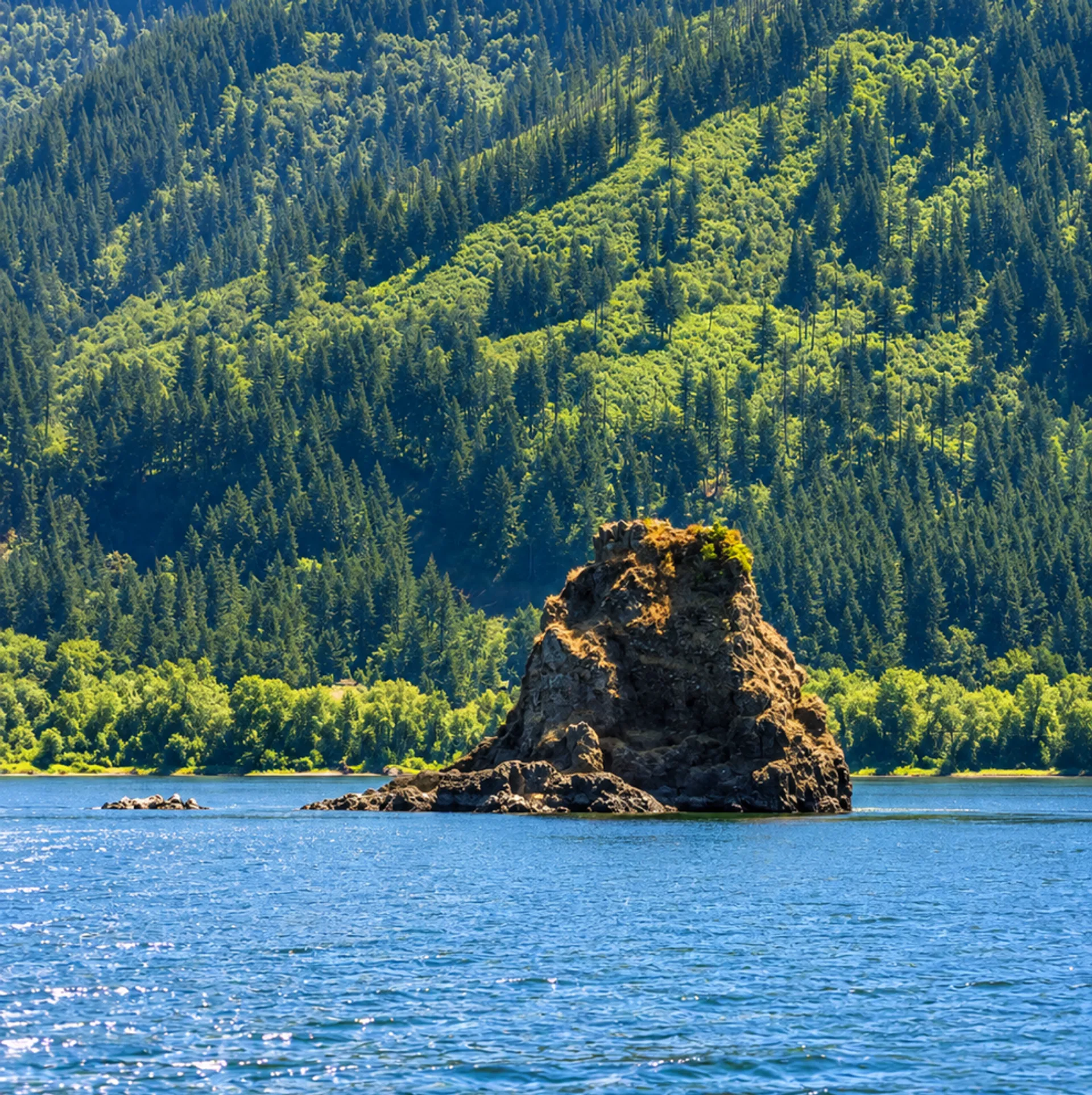 “Explore Portland &amp; the Columbia Gorge by Private Yacht” 