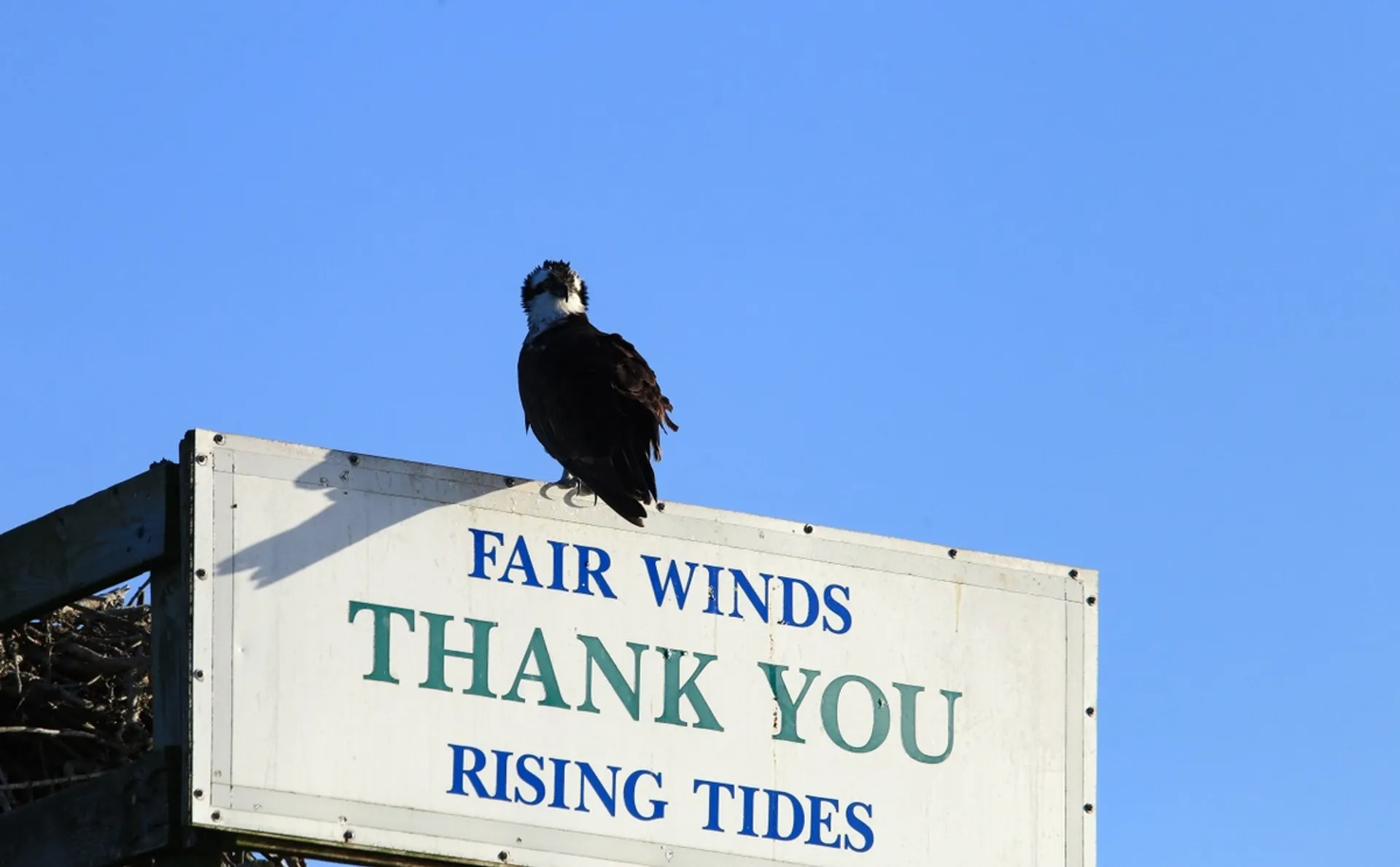 Topsail Island Cast Off