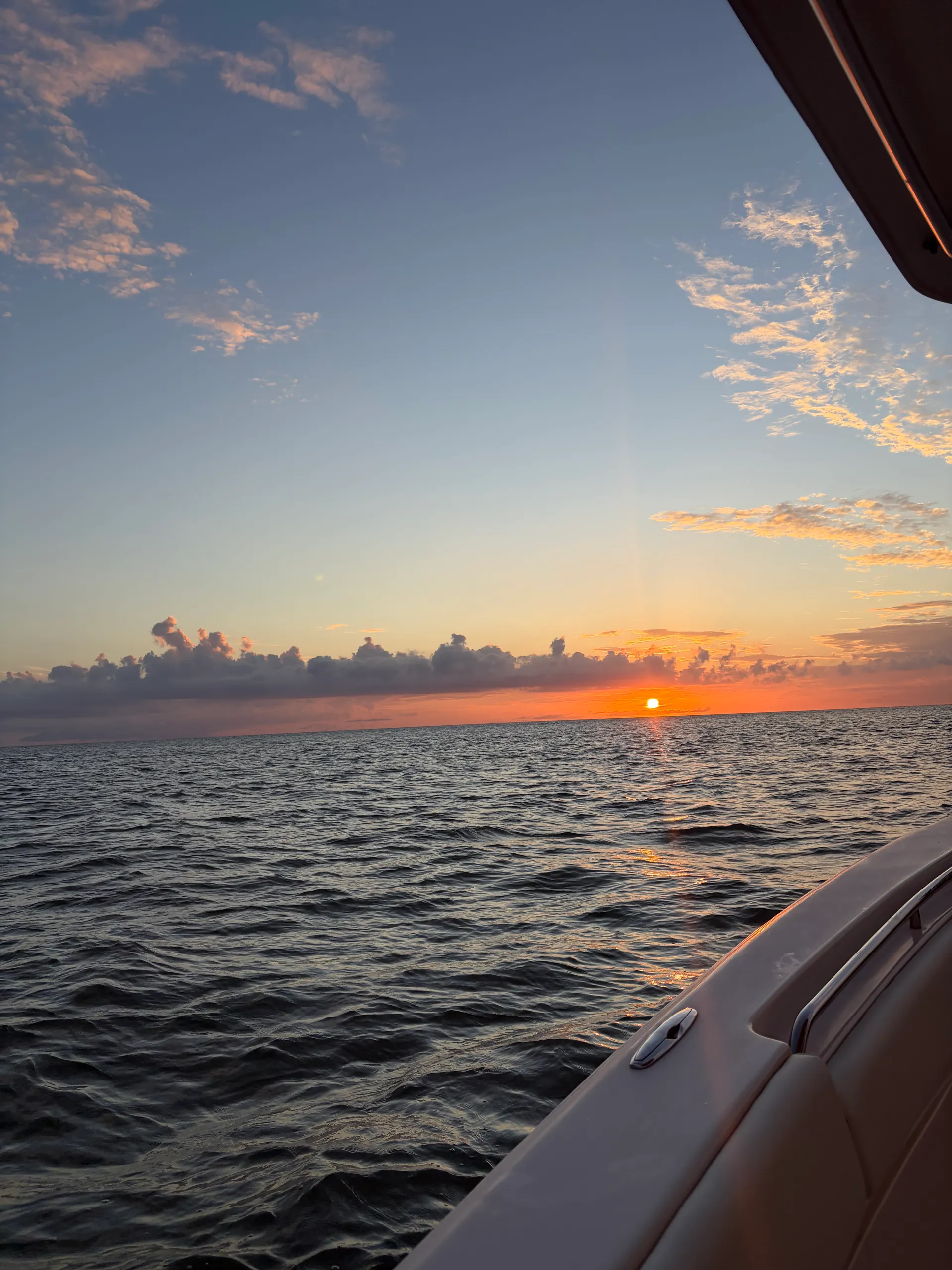 Salt an Sunset Charters Grady-White 306 |Dolphins, Shelling and Sunset