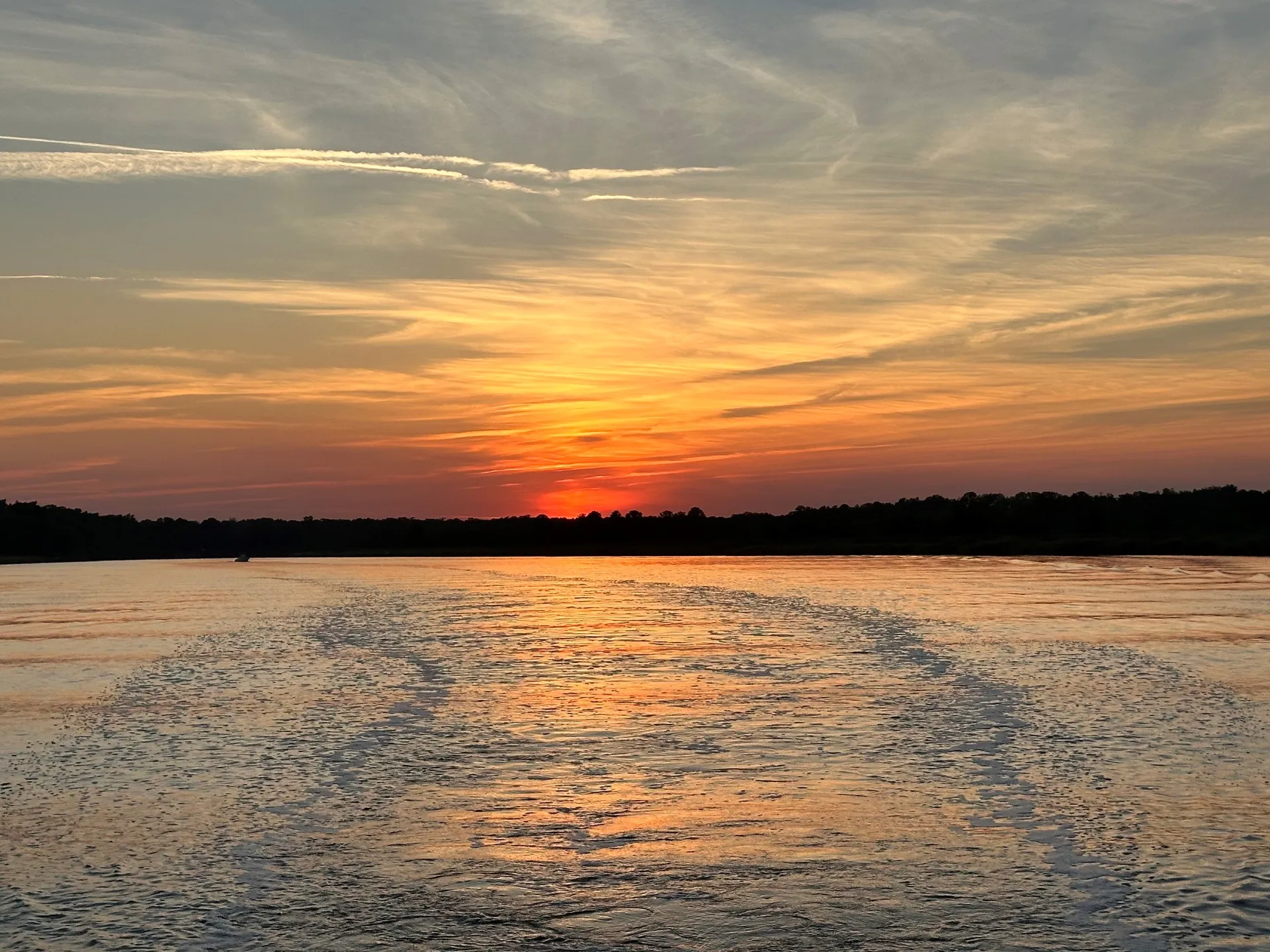 COBIA BOATS 280 CC in North Charleston, SC — photo 4