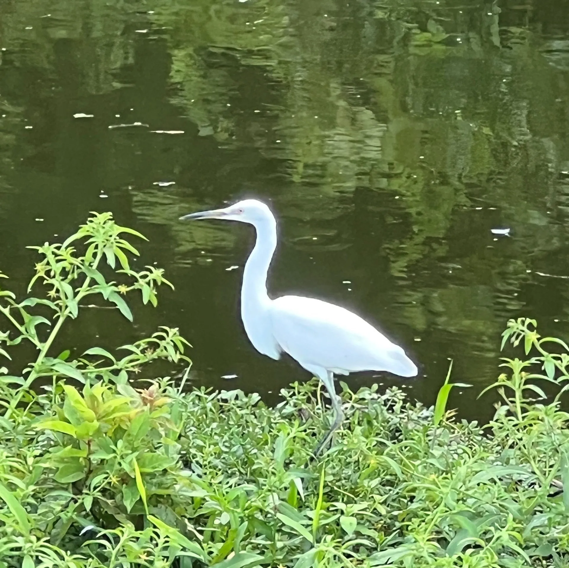 COBIA BOATS 280 CC in North Charleston, SC — photo 9