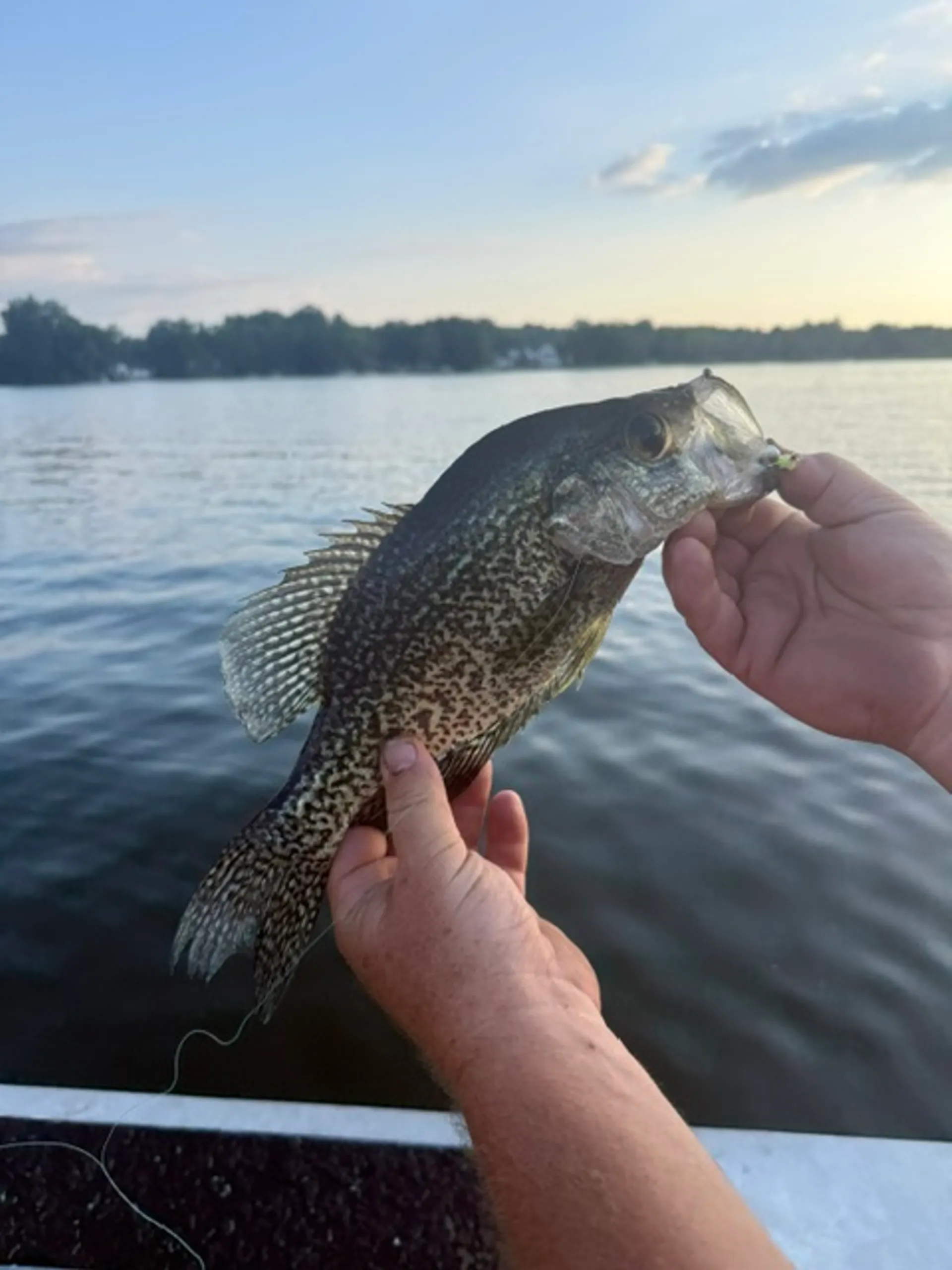 Release SXE Flats Fishing Boat