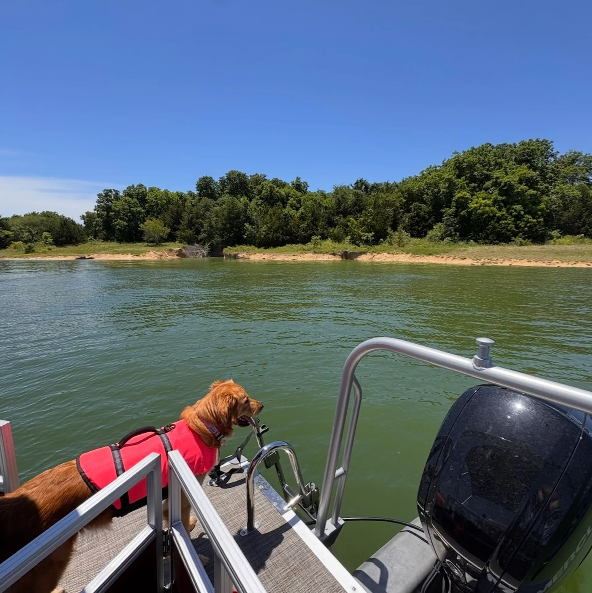RANGER BOATS (AR) 200C in Lavon, TX — photo 10