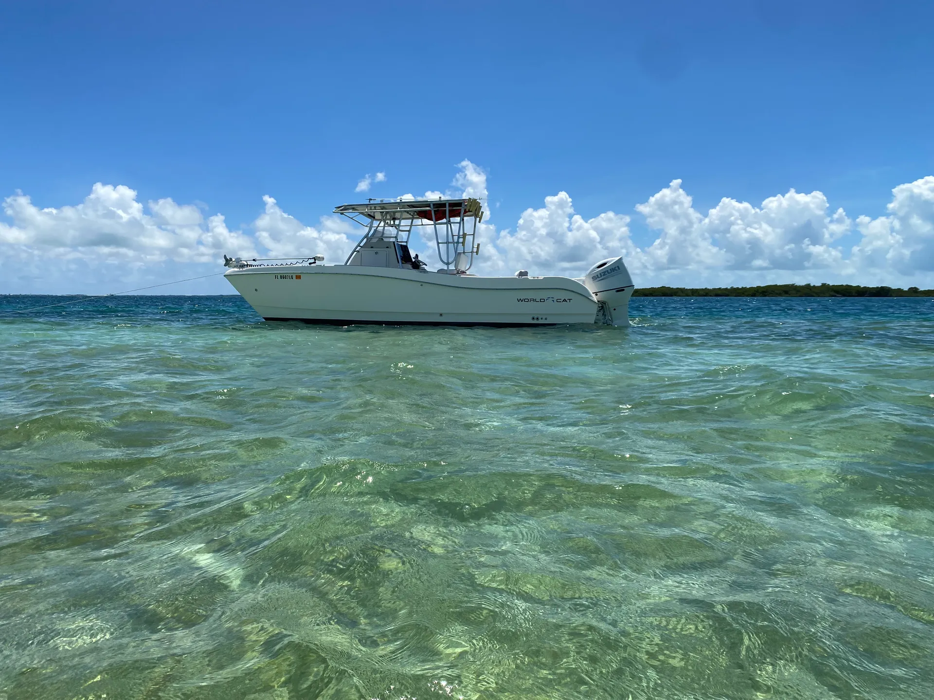 WORLD CAT BOATS 246SF in Key West, FL — photo 8