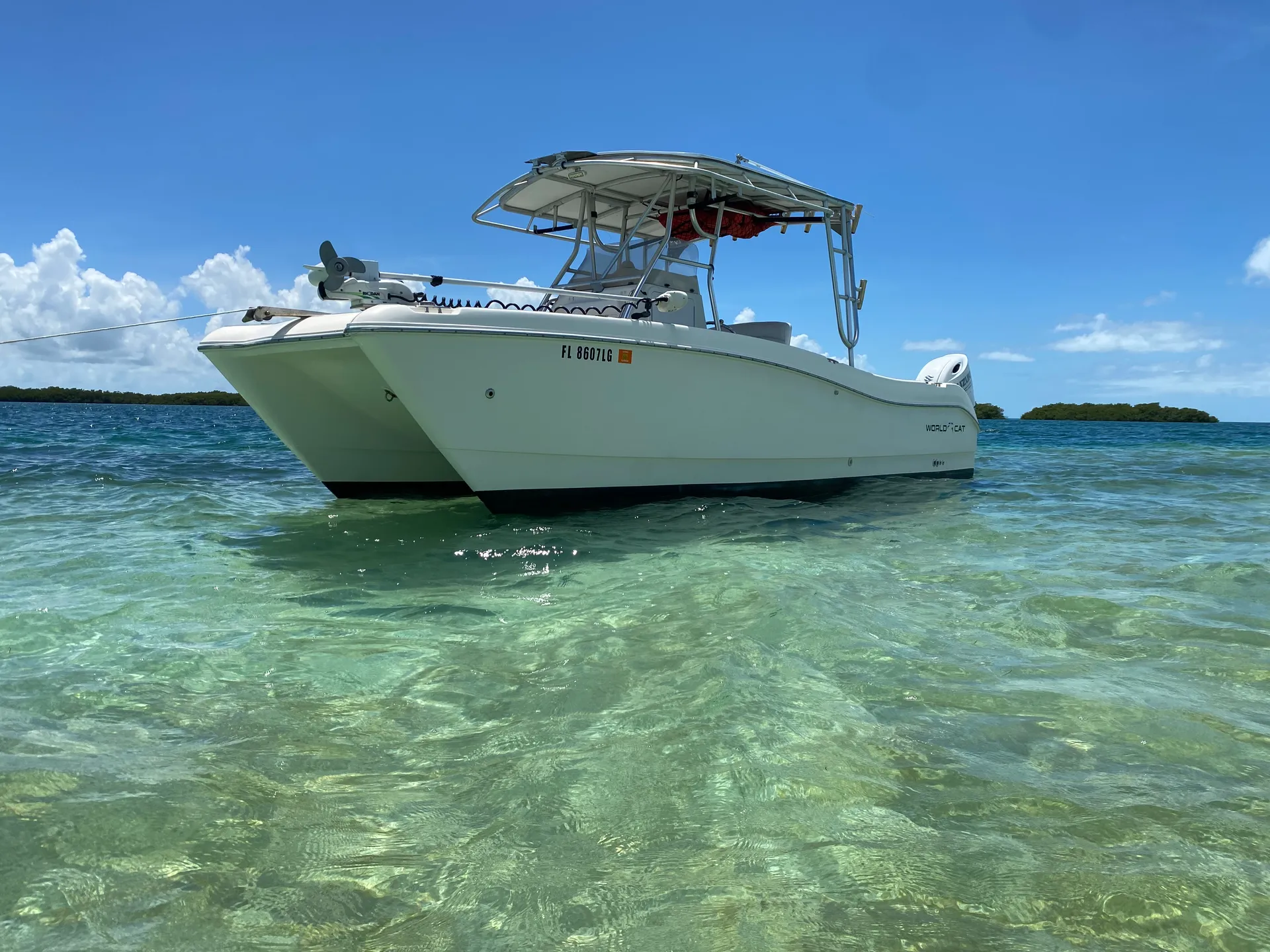 WORLD CAT BOATS 246SF in Key West, FL