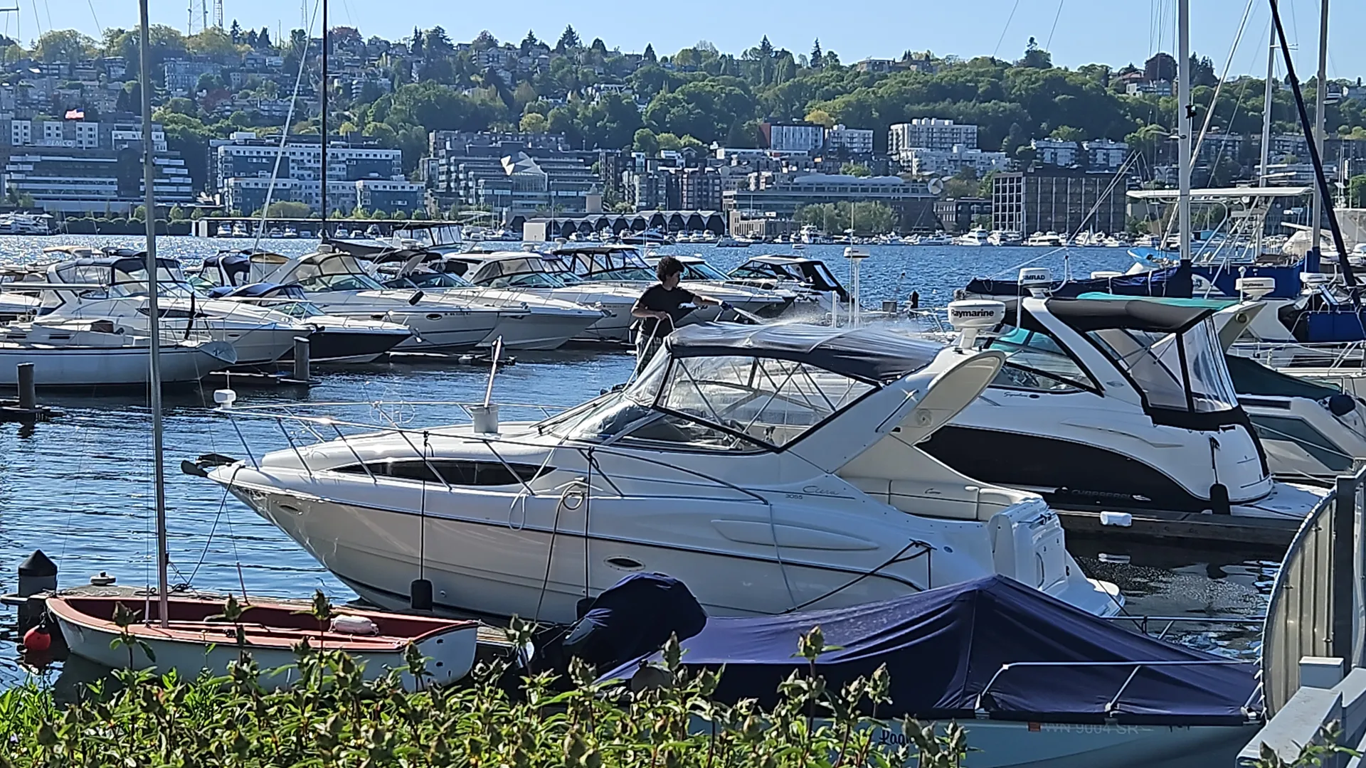 BAYLINER 3055 SUNBRIDGE LX in Seattle, WA — photo 7