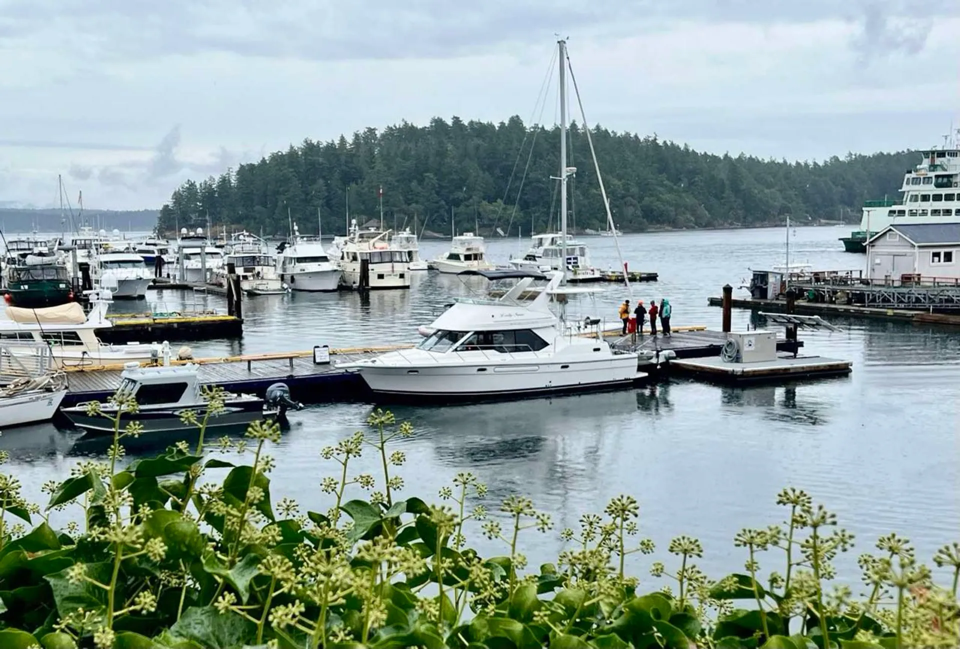 Private Yacht Charter- Bayliner 40ft with Captain in Seattle, San Juan