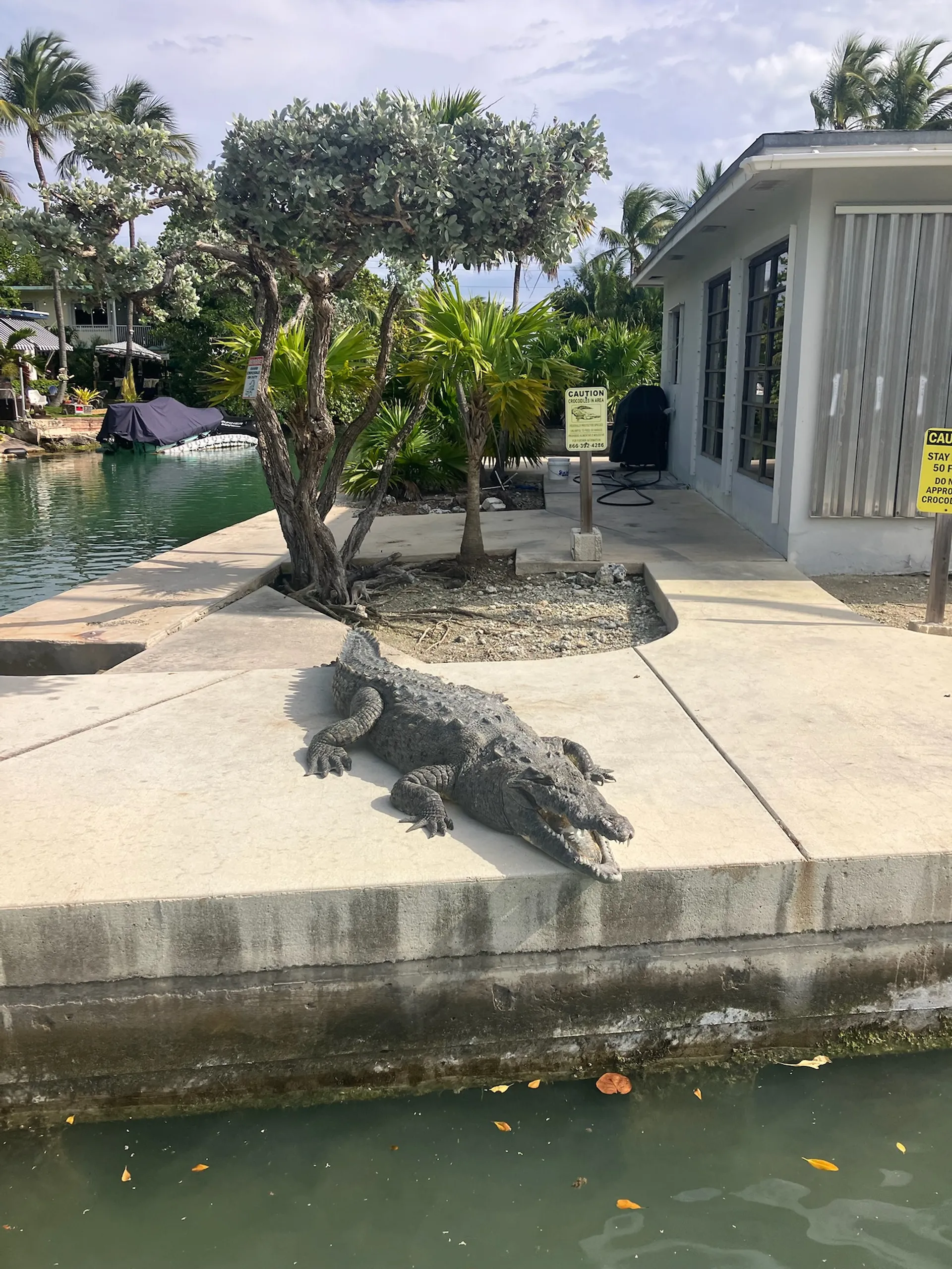 Florida Keys, Islamorada Sandbar, Snorkel and; Custom Boat Trips