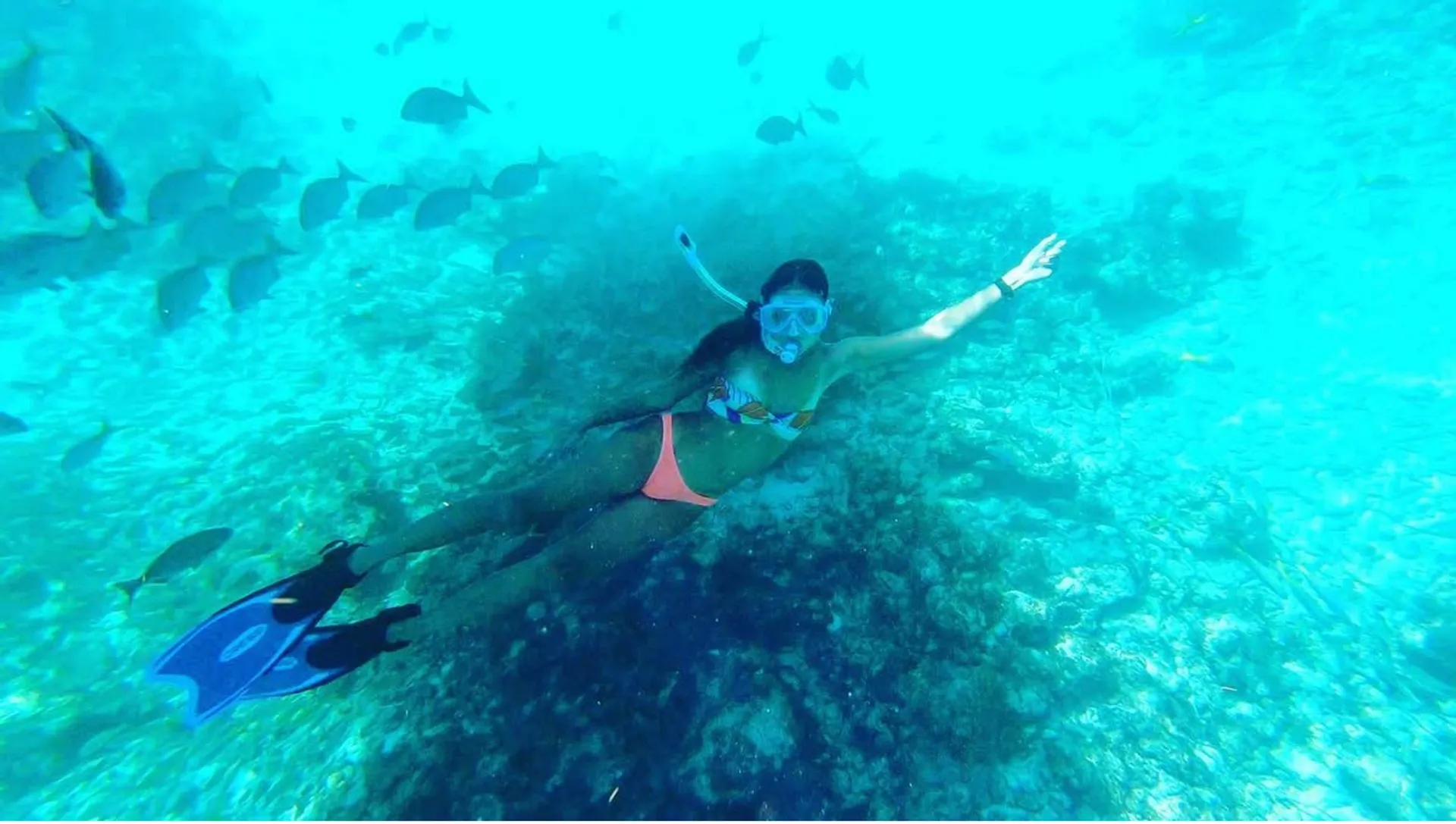 Florida Keys, Islamorada Sandbar, Snorkel and; Custom Boat Trips
