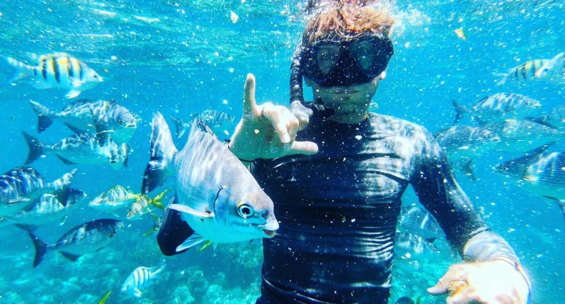 Florida Keys, Islamorada Sandbar, Snorkel and; Custom Boat Trips