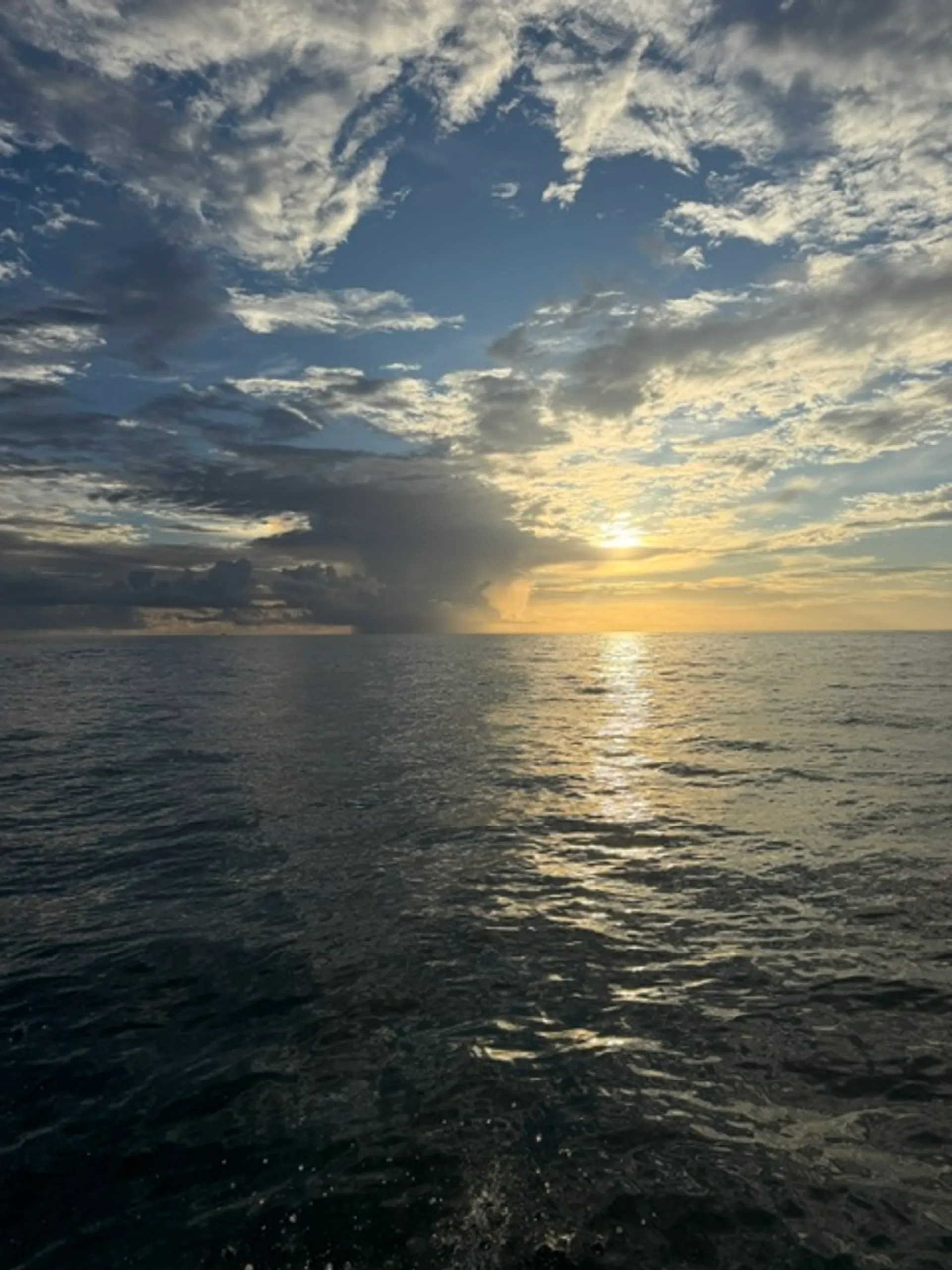 Custom Sport  Express in Islamorada, FL — photo 5