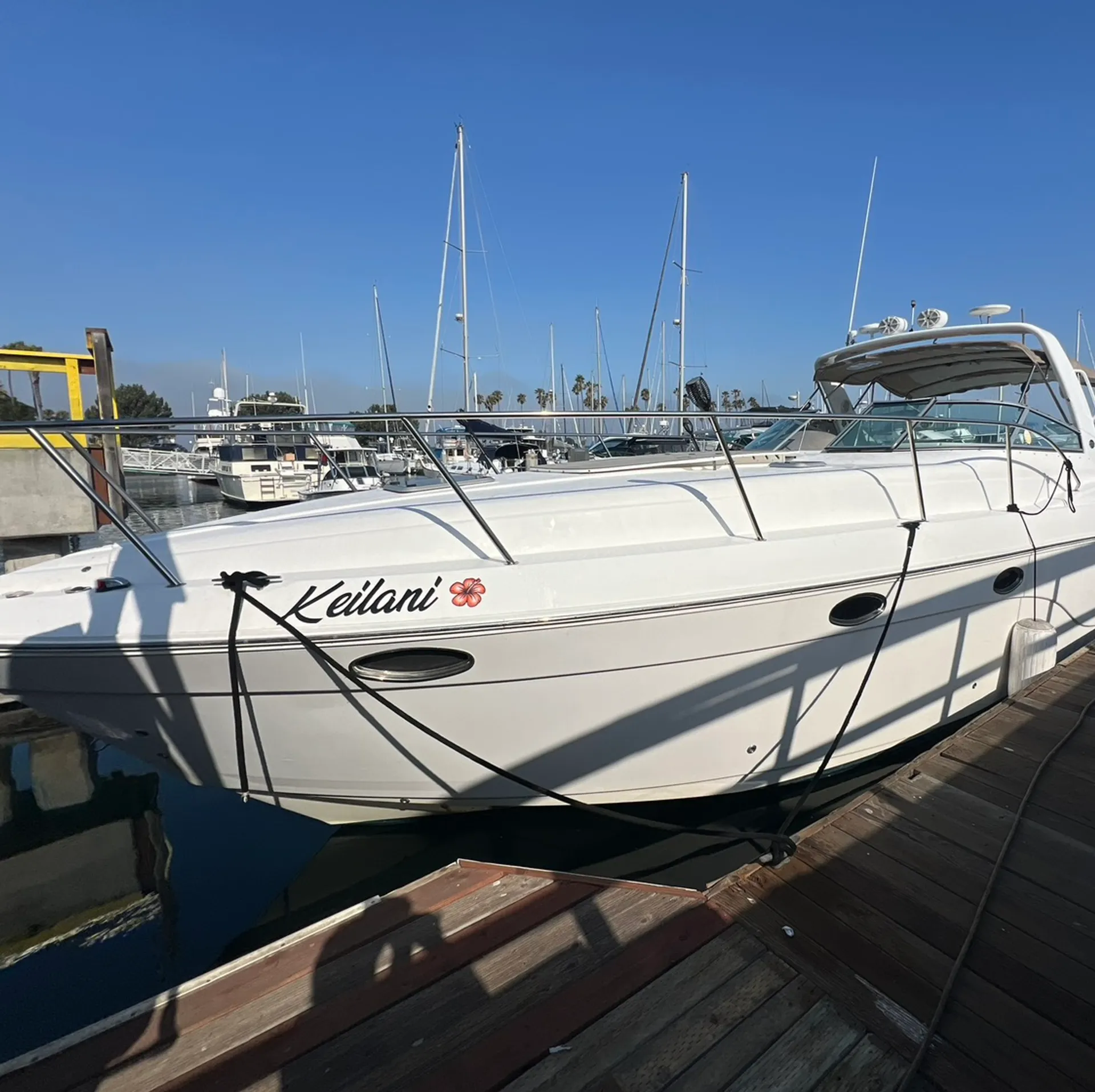45' luxury cruiser for hire with licensed captain up to 12 guests!