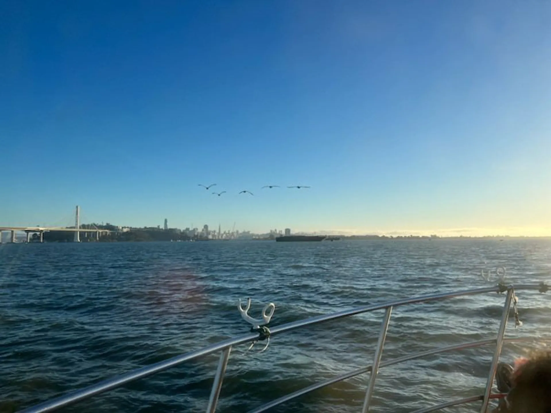 50' Bay Cruise, History Tour, and Sportfishing Party Boat Charter