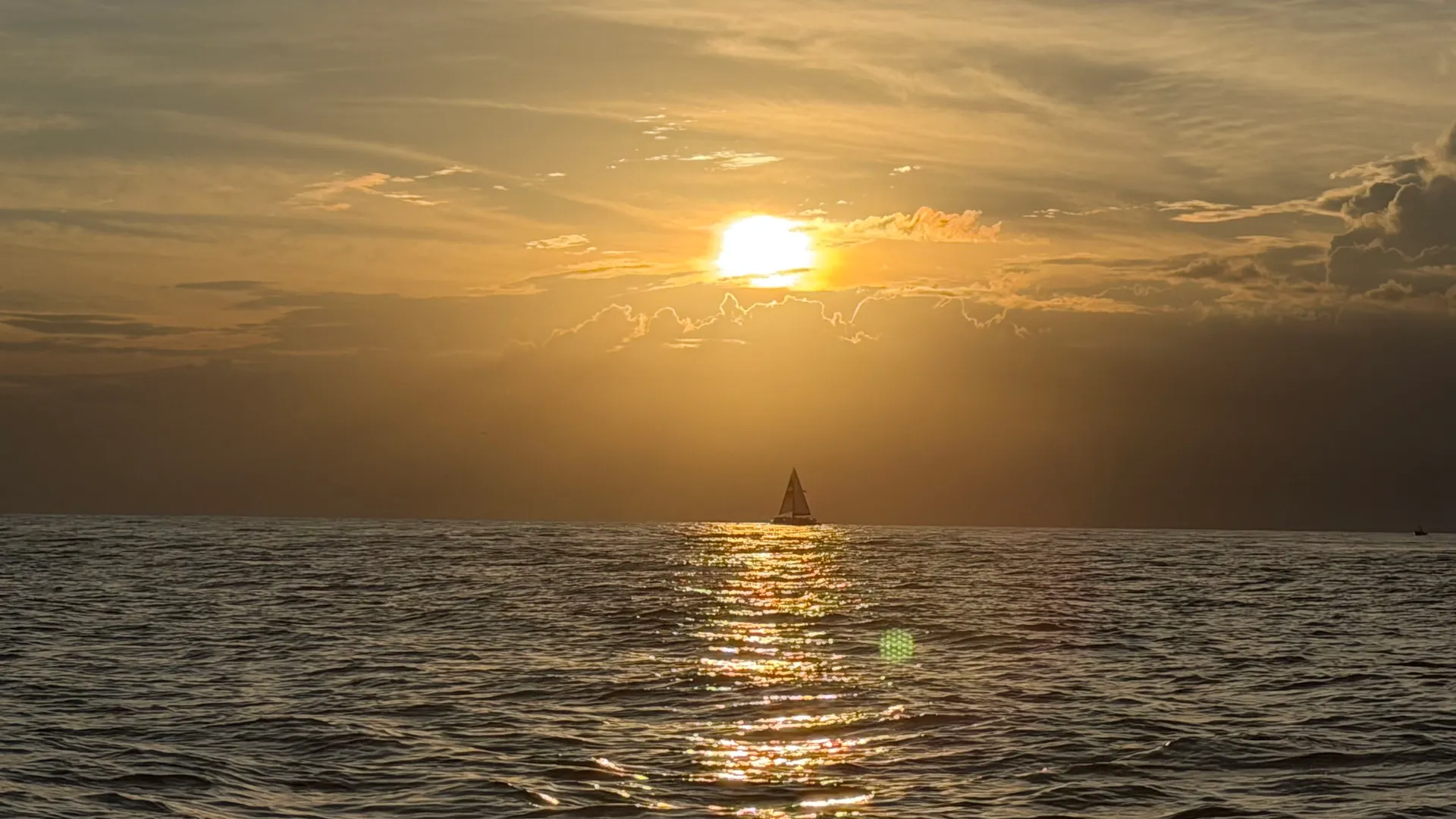 Private Shell Island and Dolphin Cruise | Captain + Fuel Included