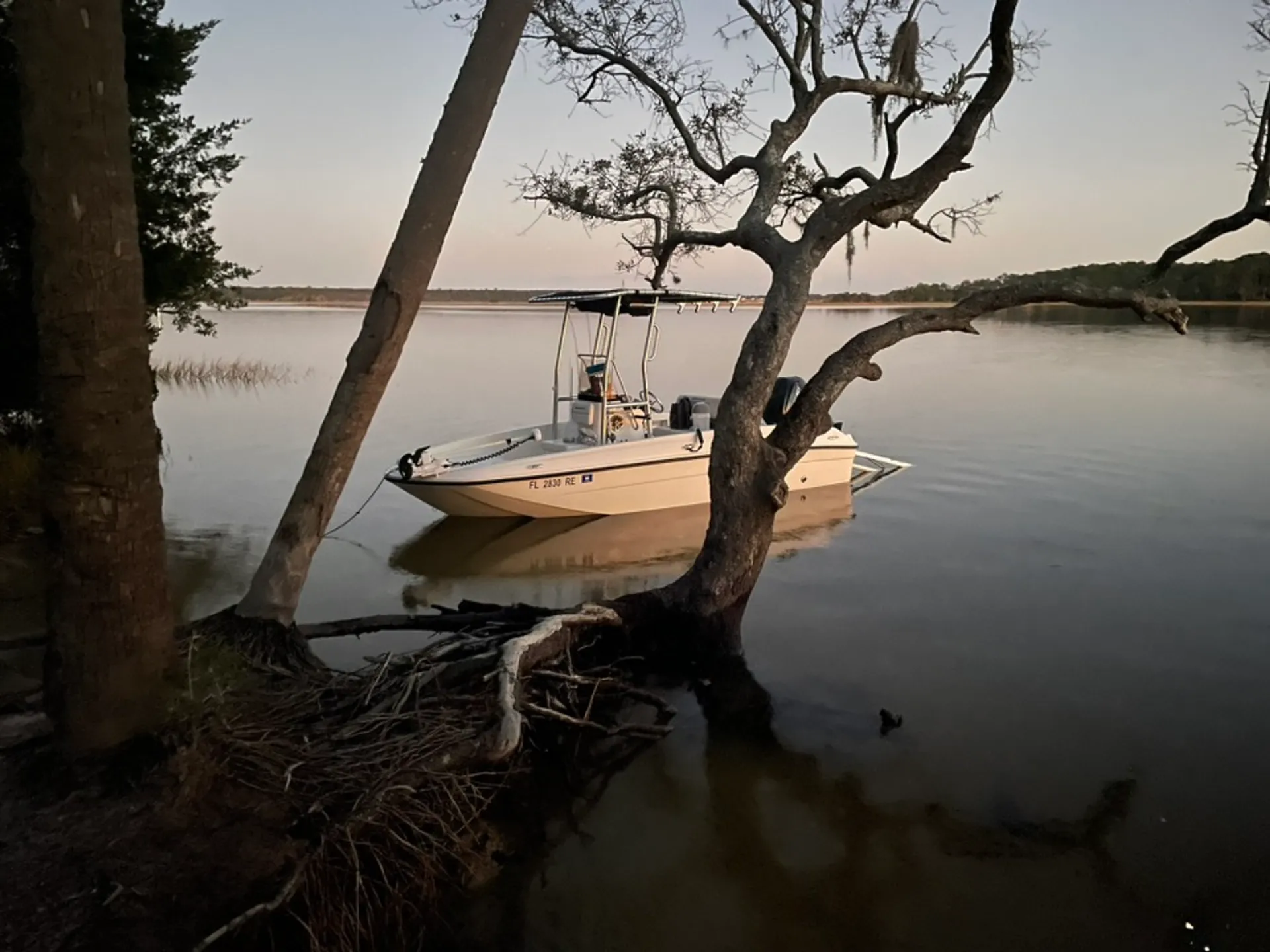 BAYLINER ELEMENT XL W/115HP 4-S MERCURY W/TRLR in Mount Pleasant, SC