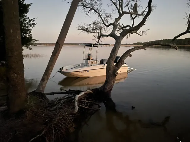 Rent a BAYLINER center console in Mount Pleasant, SC near me