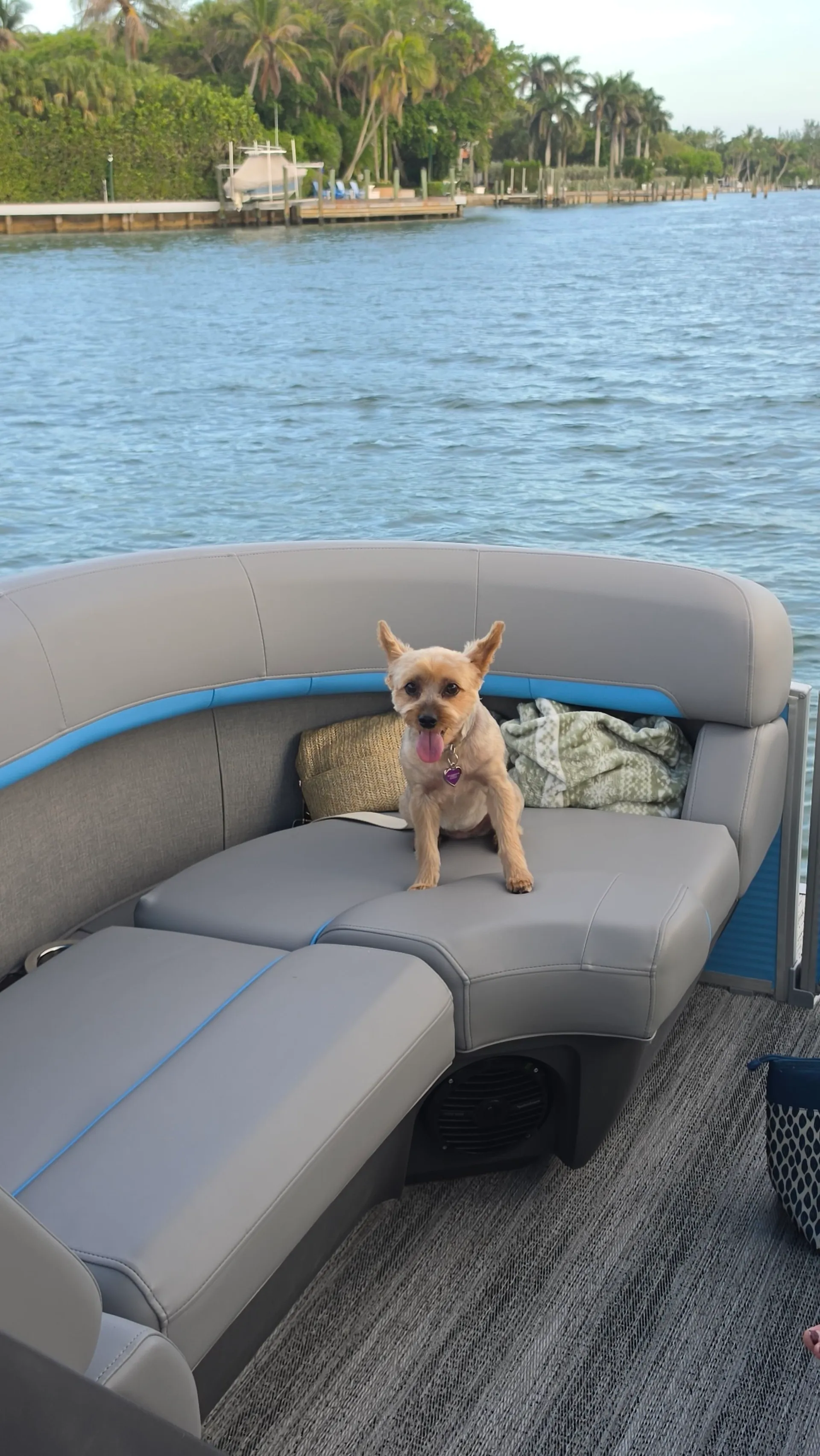 BENNINGTON MARINE 22 MFB TRITOON PERFORMANCE PACKAGE in Jupiter, FL — photo 6