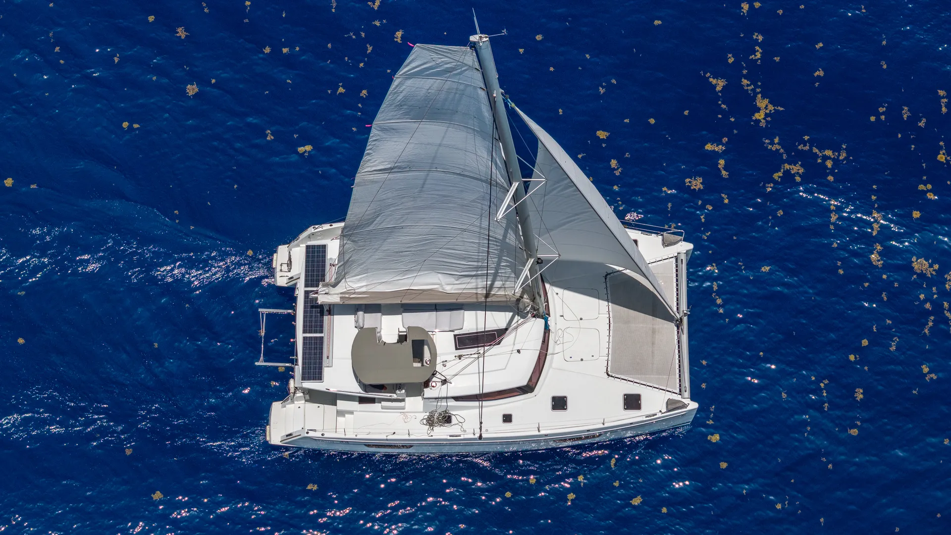 Spacious 44' Sailing Catamaran– Miami Sandbar & Sunset Escapes
