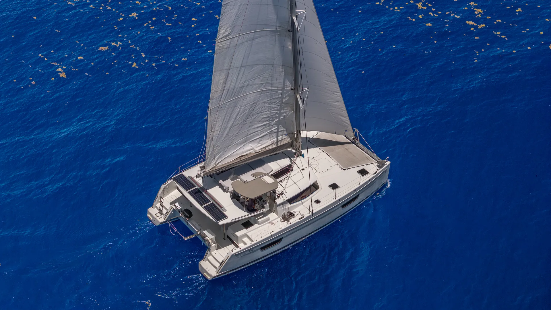 Spacious 44' Sailing Catamaran– Miami Sandbar & Sunset Escapes