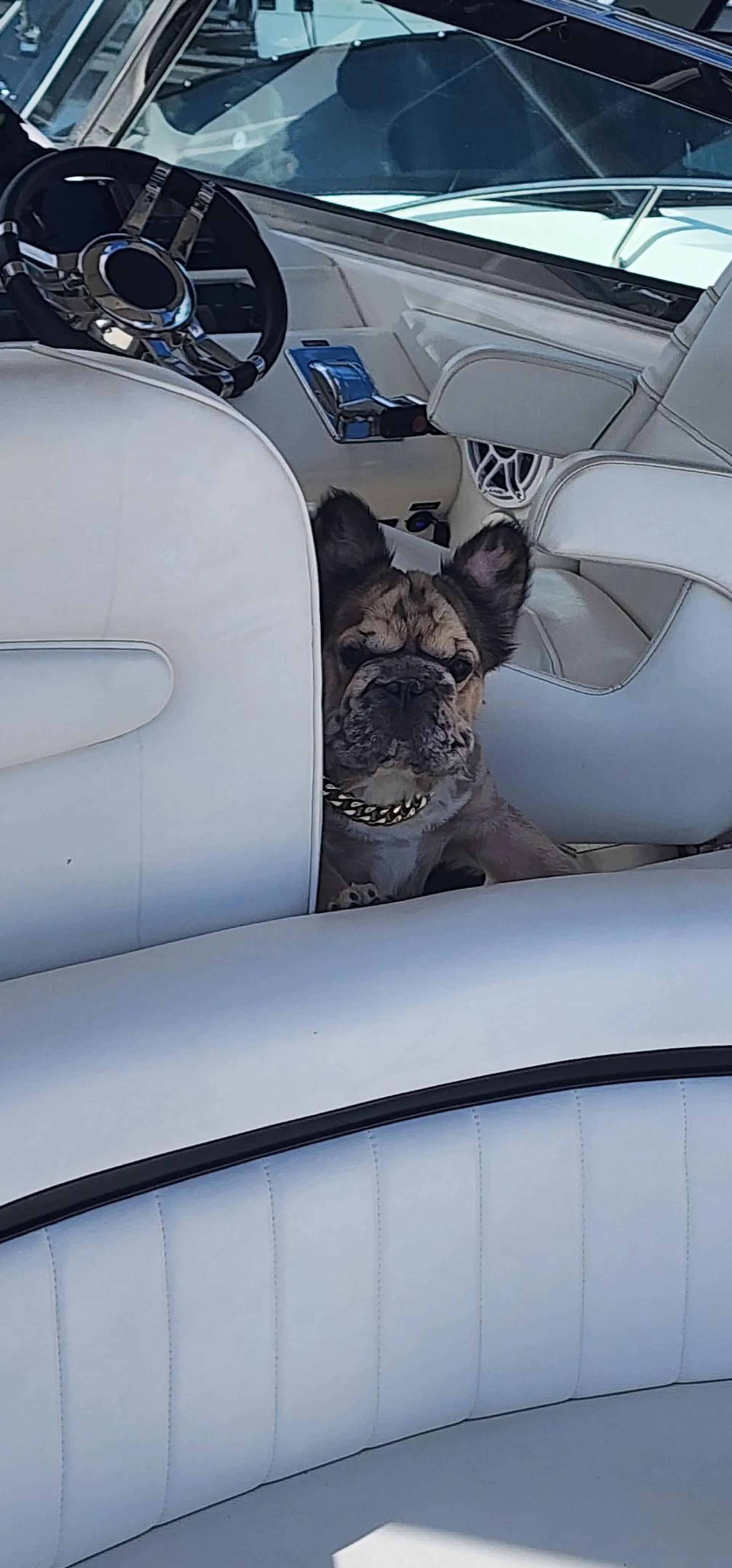 Sea Ray Boats 450 Sea Ray Sundancer in Chicago, IL — photo 8