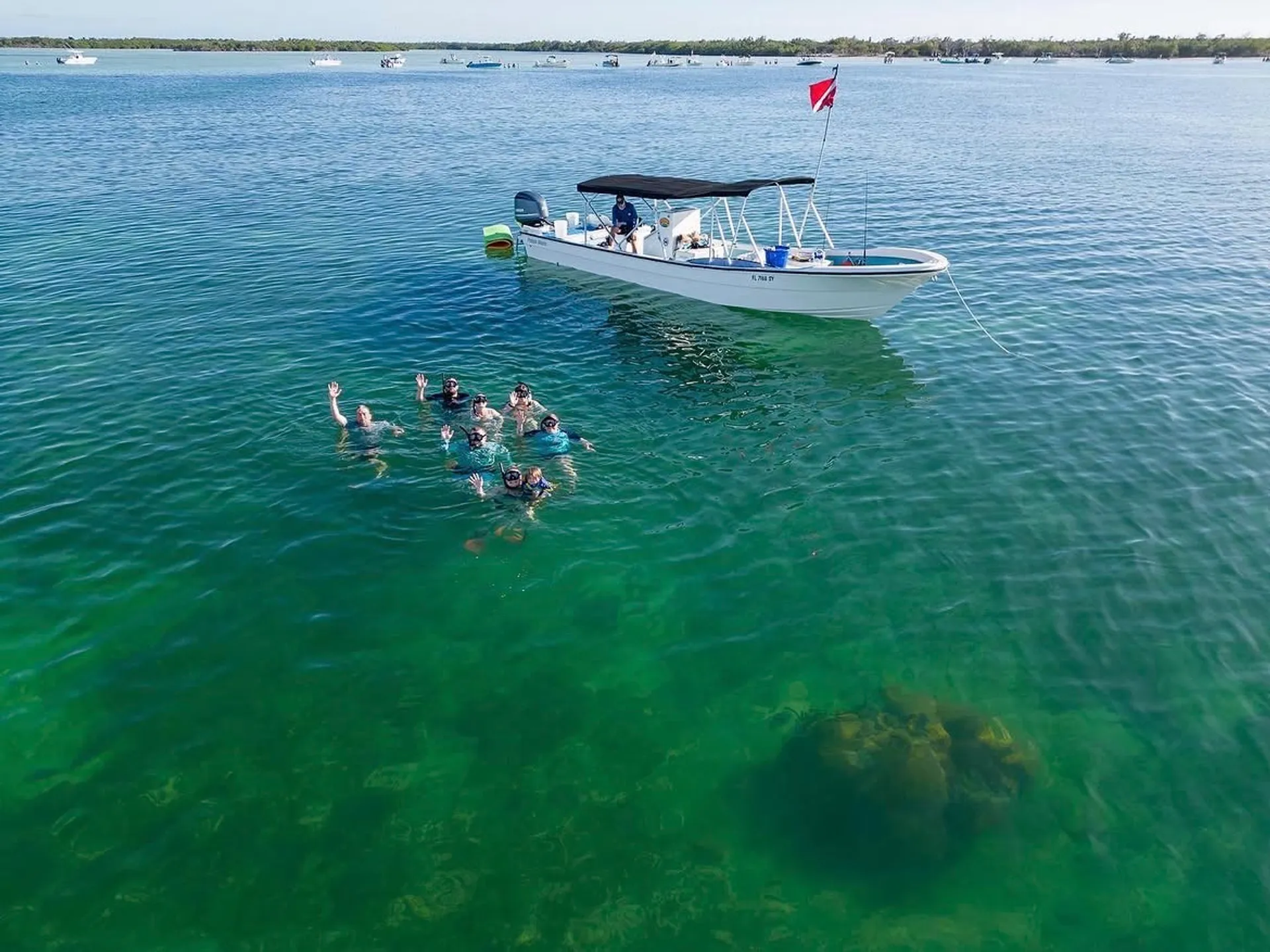 Shaded 33' Panga: Snorkel, Paddle & Fish in Comfort