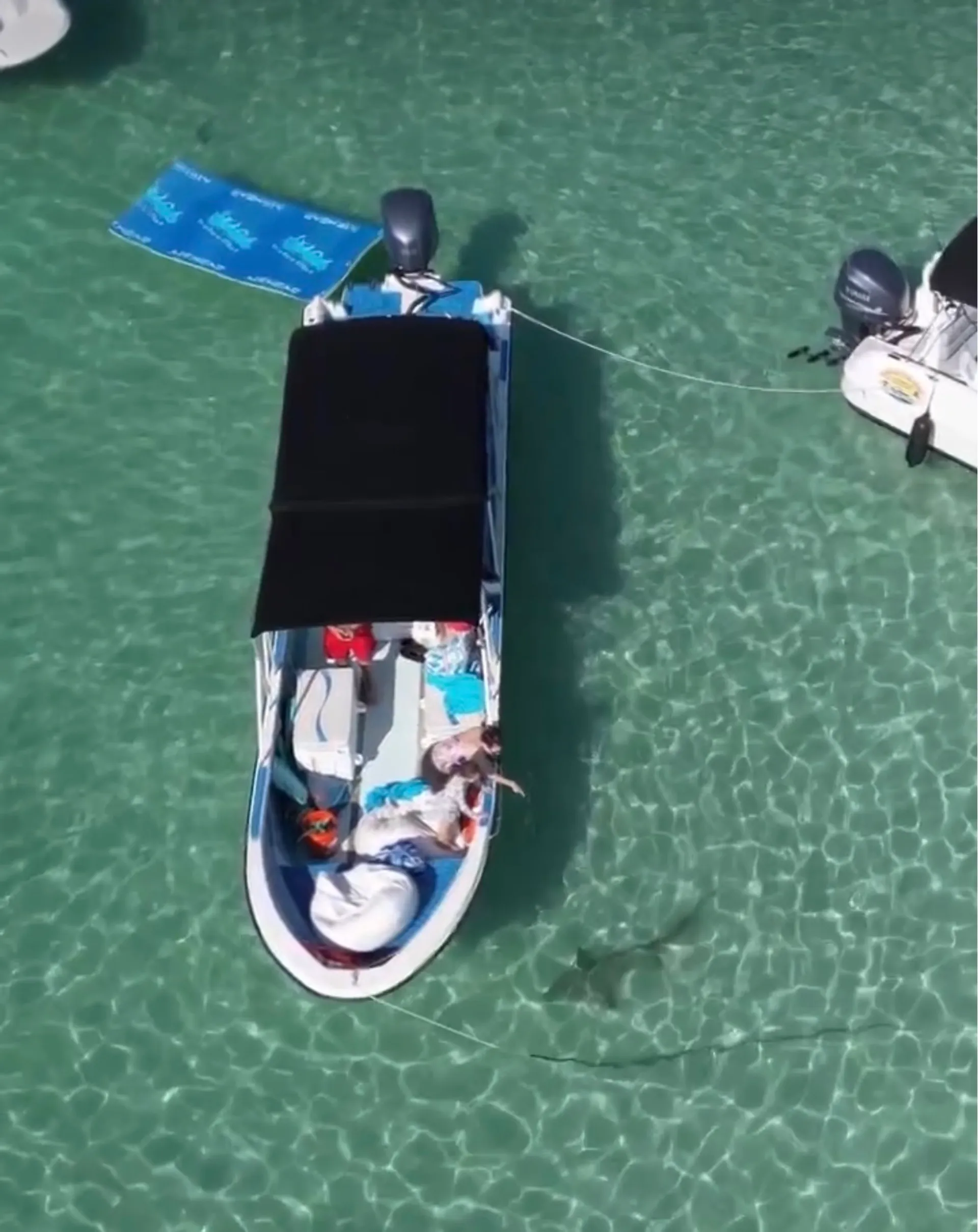 Shaded 33' Panga: Snorkel, Paddle & Fish in Comfort