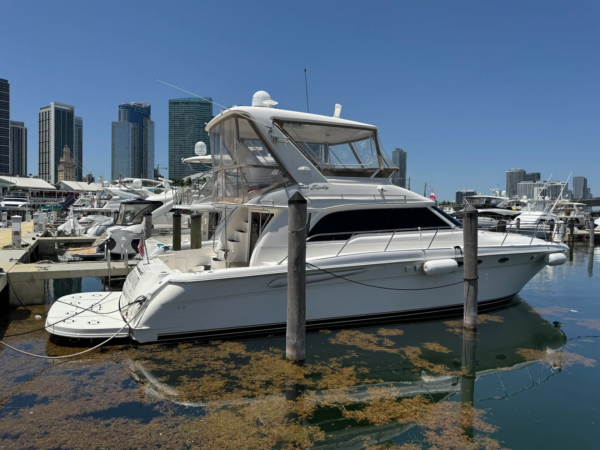 Sea Ray Boats 480 Sedan Bridge in Miami, FL — photo 2